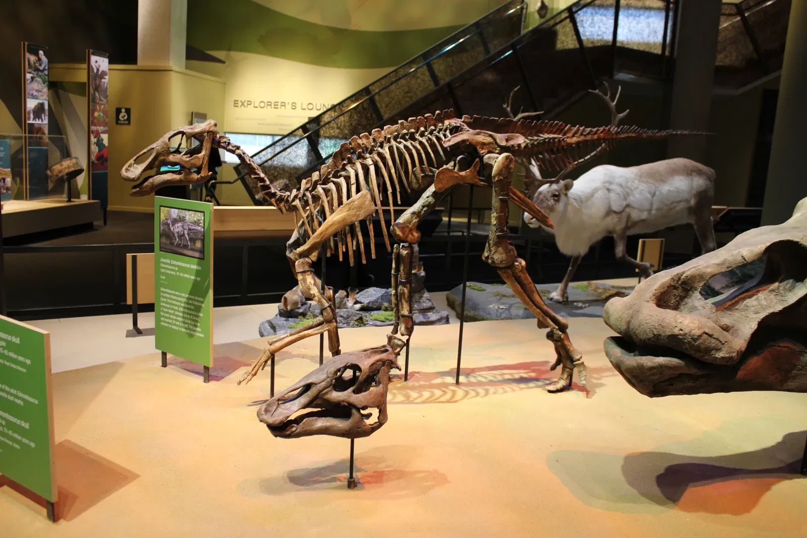 Perot Museum of Nature and Science