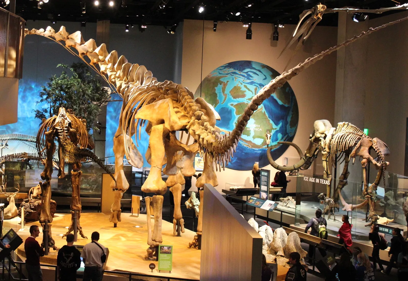 Perot Museum of Nature and Science