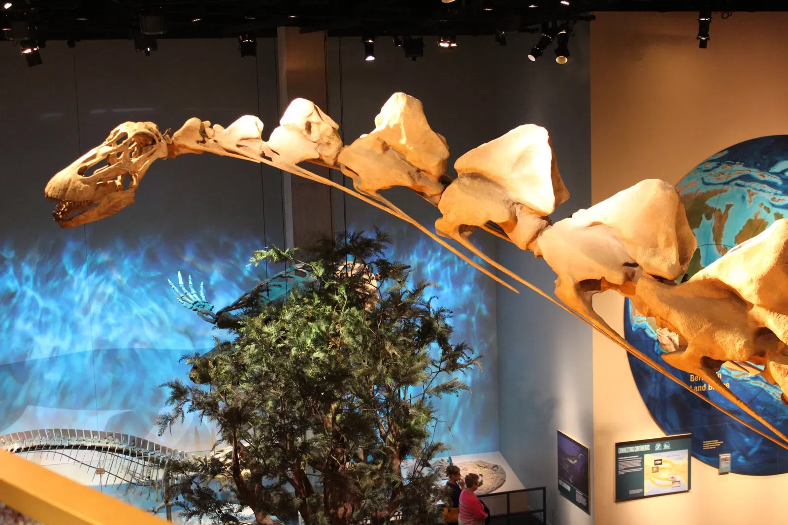 Perot Museum of Nature and Science
