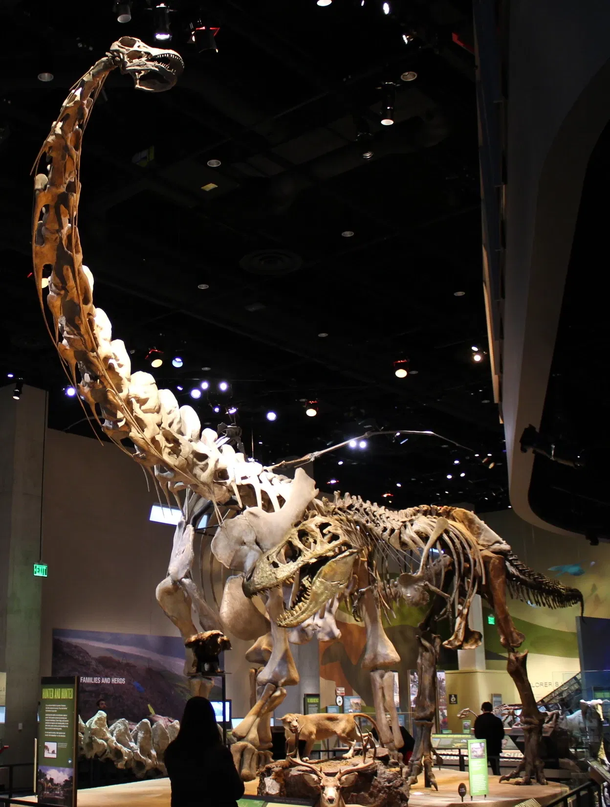 Perot Museum of Nature and Science