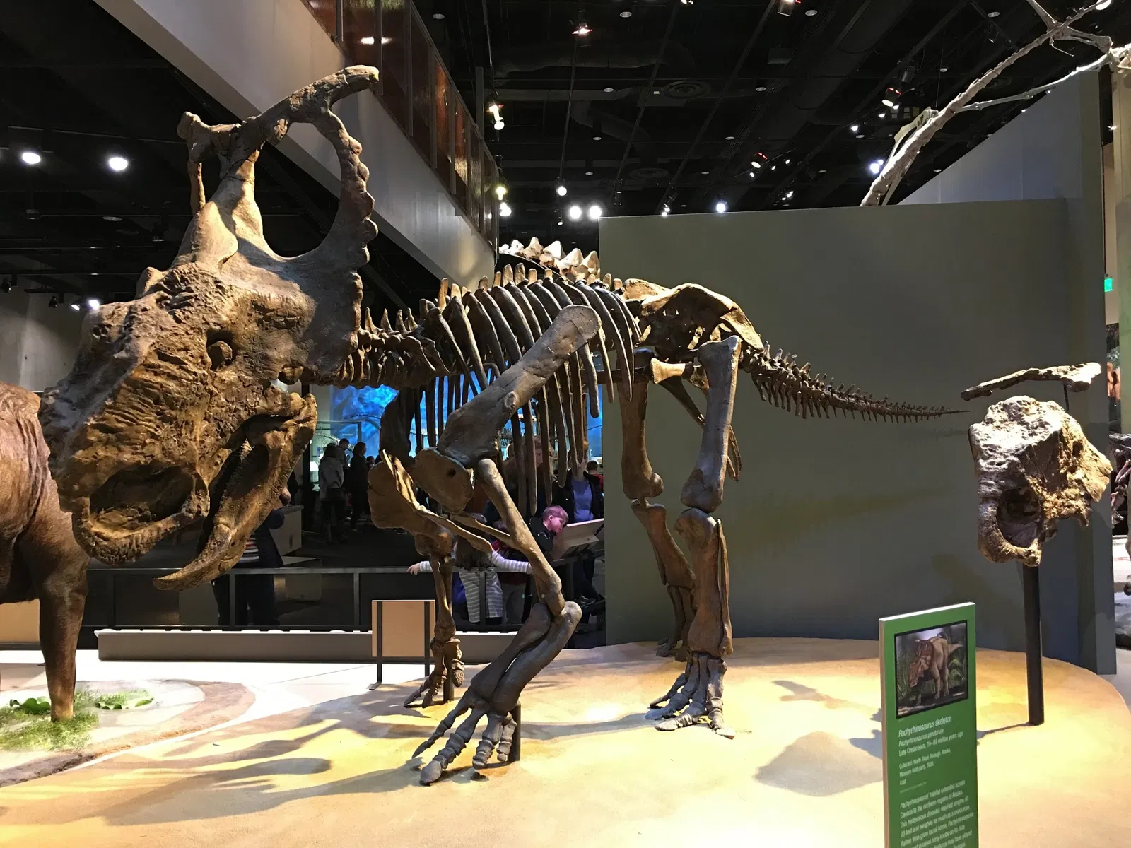 Perot Museum of Nature and Science