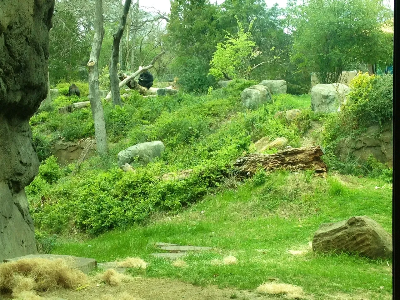 Dallas Zoo