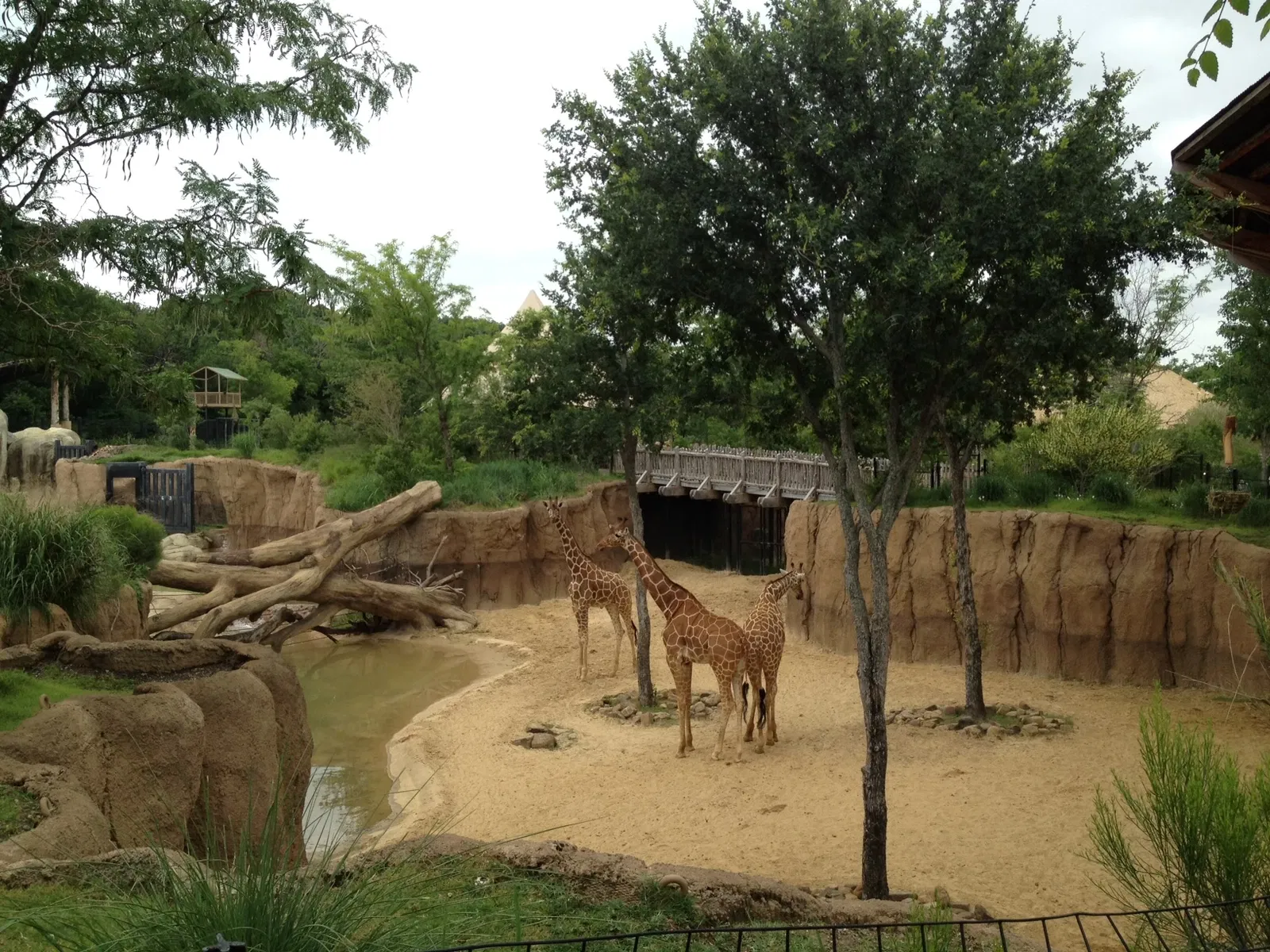 Dallas Zoo