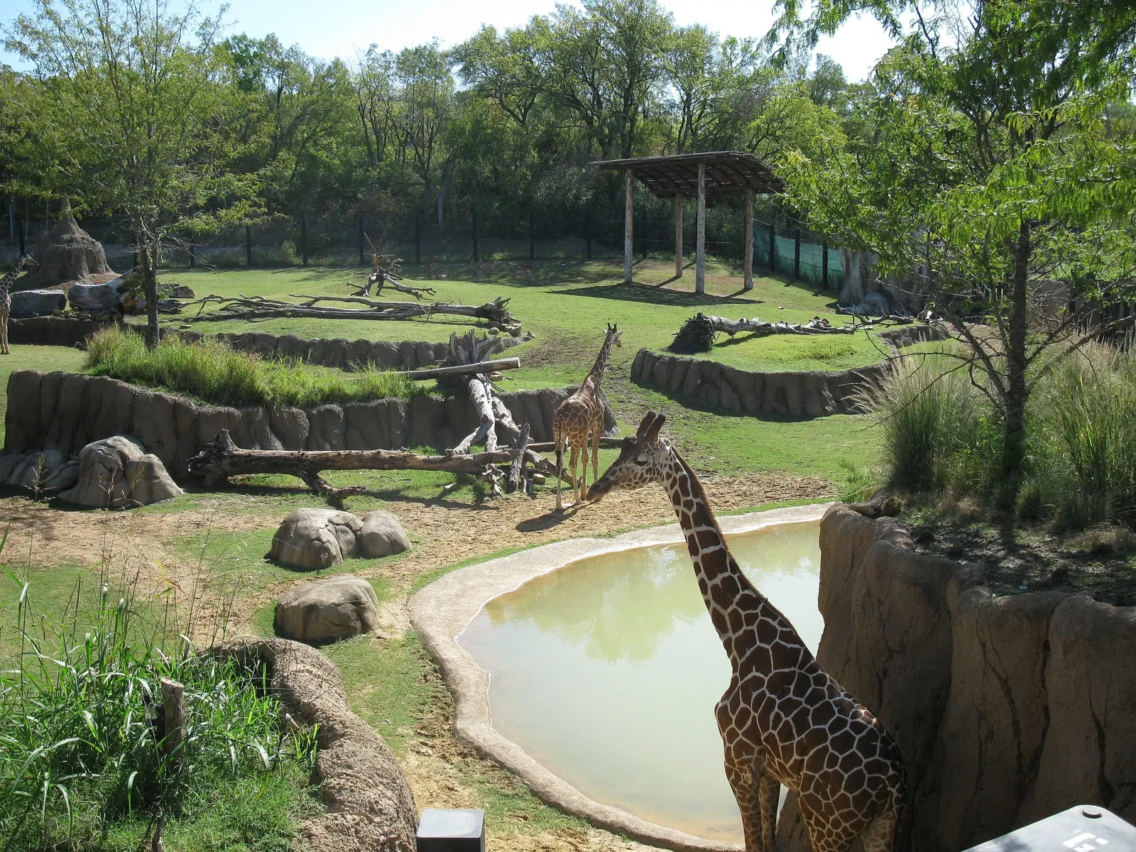Dallas Zoo