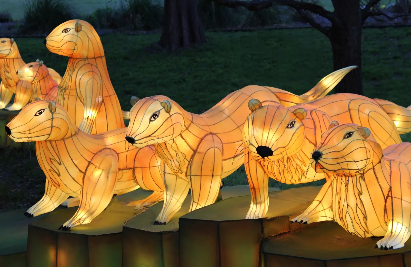 Fort Worth Botanic Garden