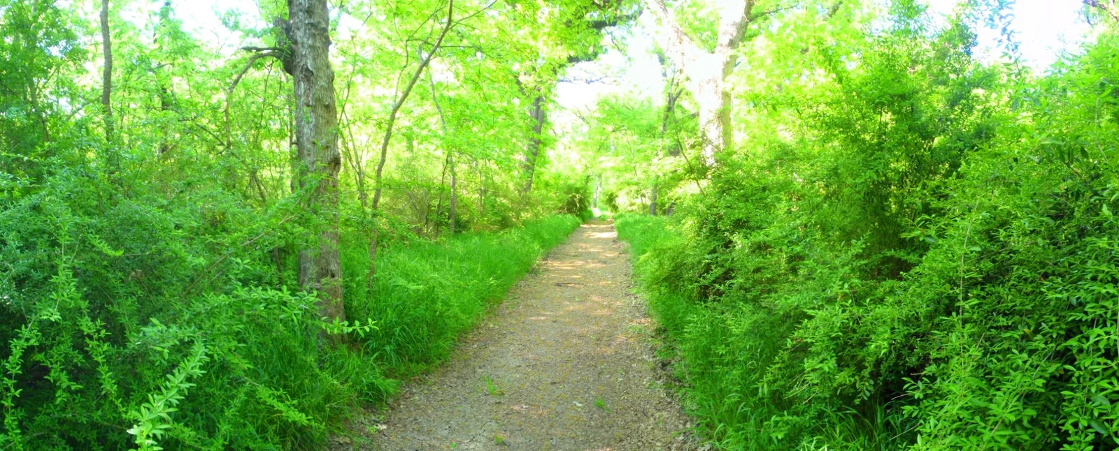 Fort Worth Botanic Garden