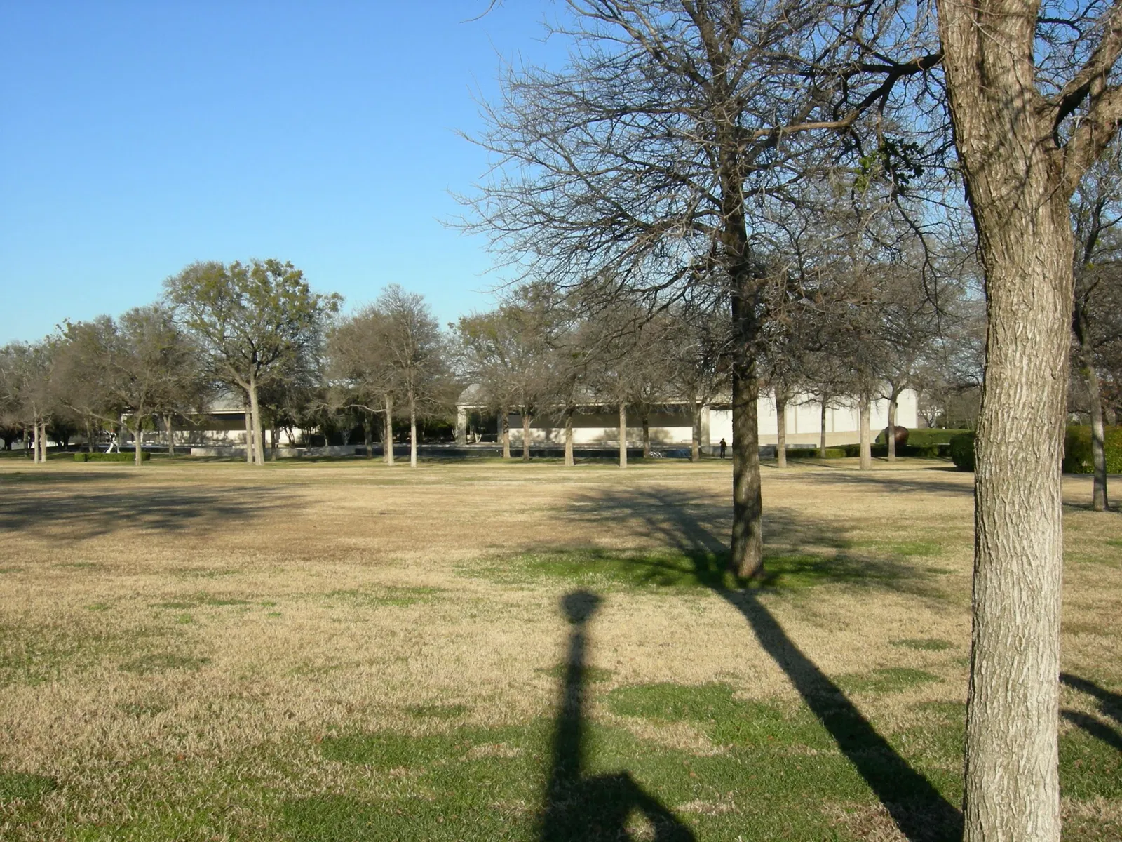 Museo de Arte Kimbell