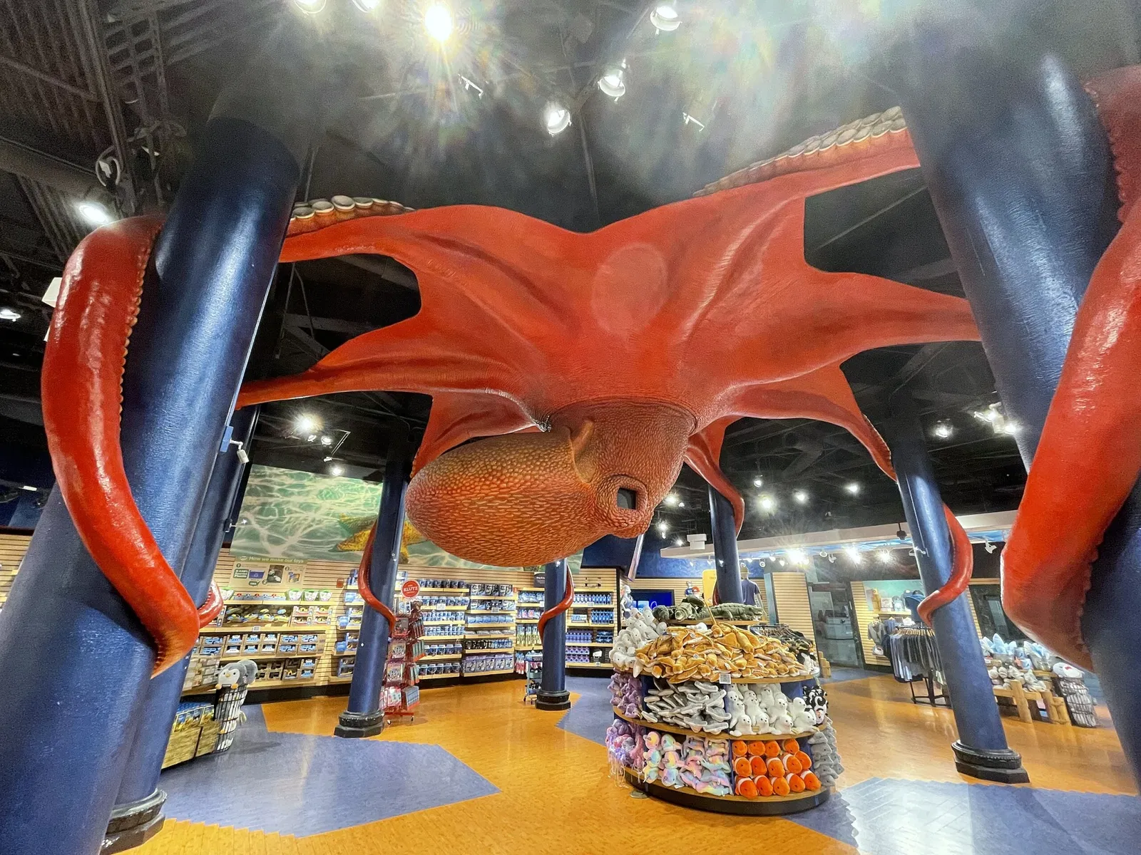 Aquarium John G. Shedd