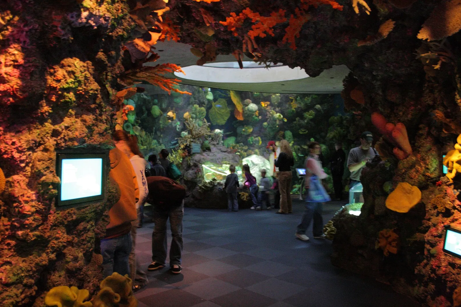 Aquarium John G. Shedd