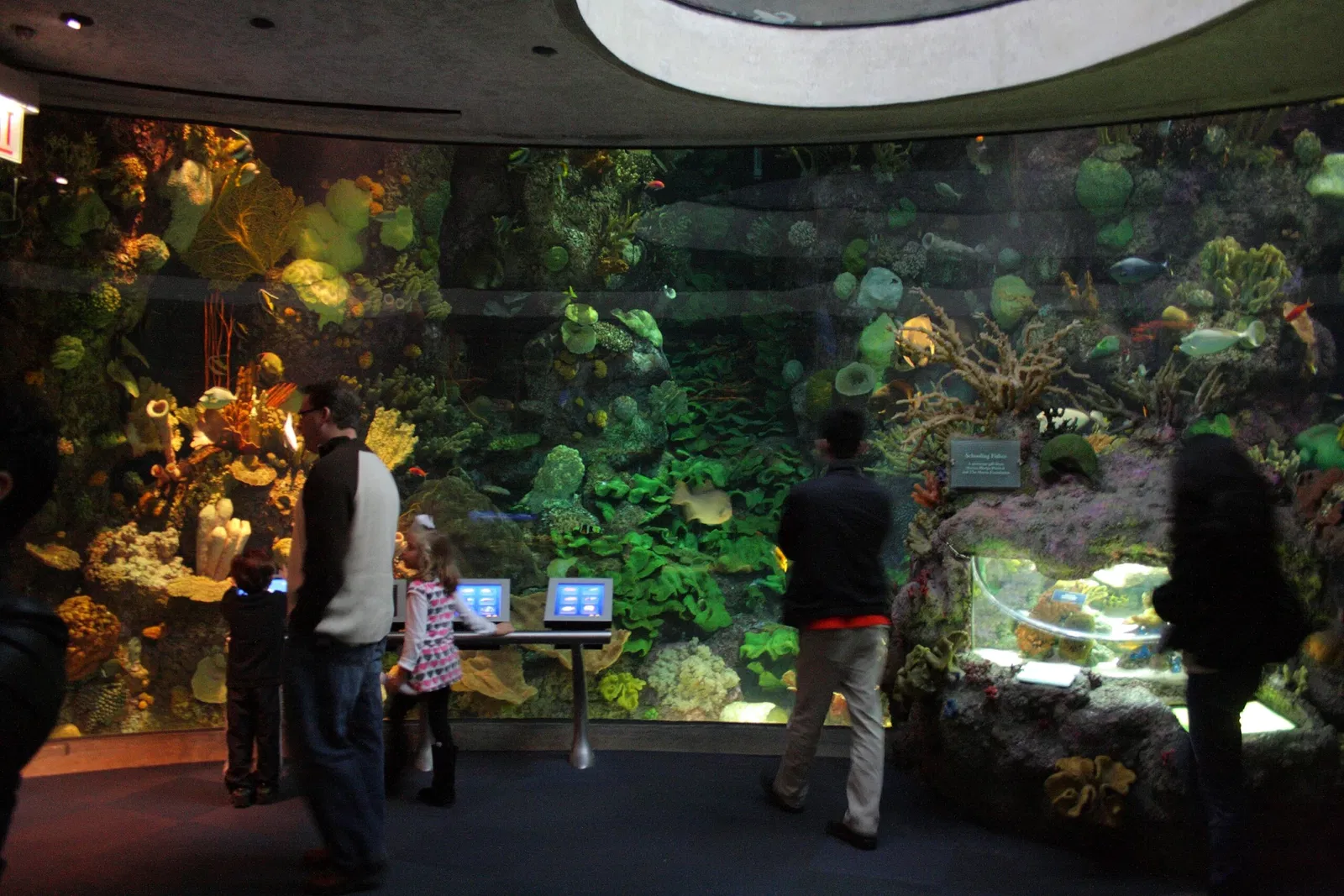 Aquarium John G. Shedd