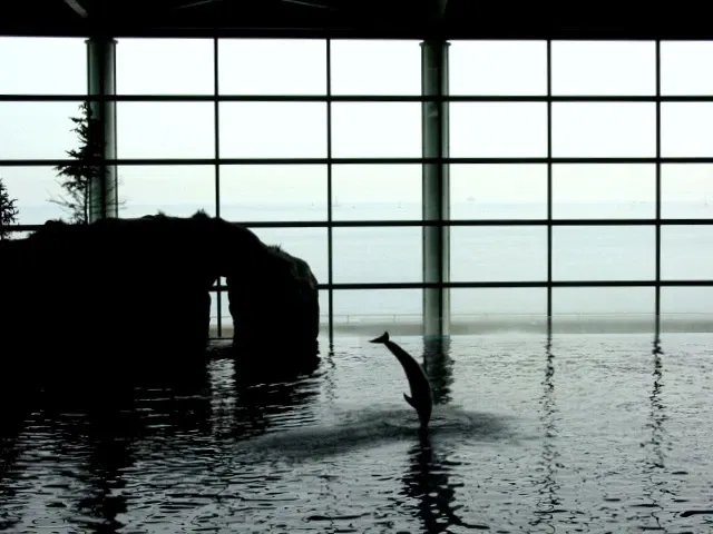 Aquarium John G. Shedd