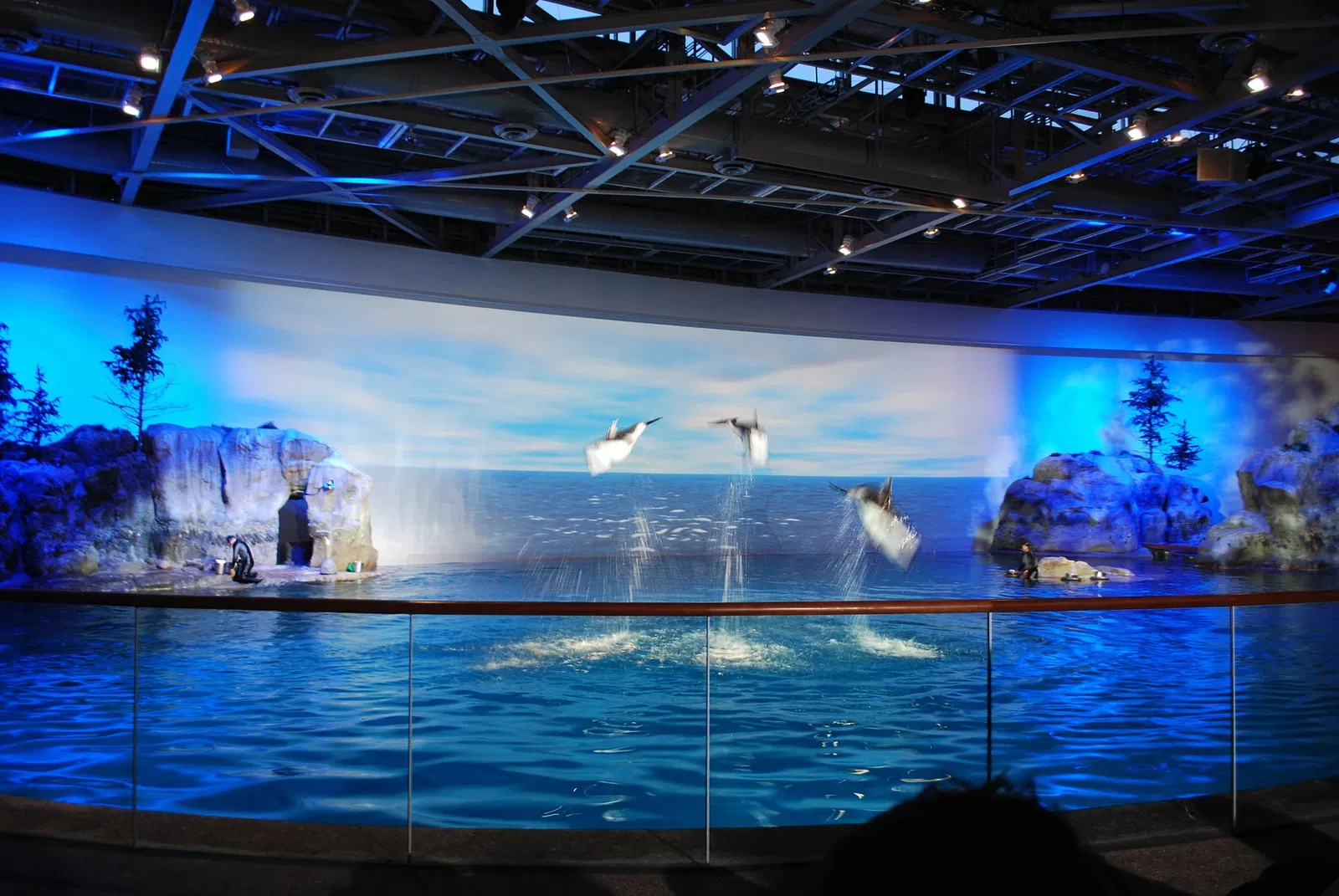 Aquarium John G. Shedd