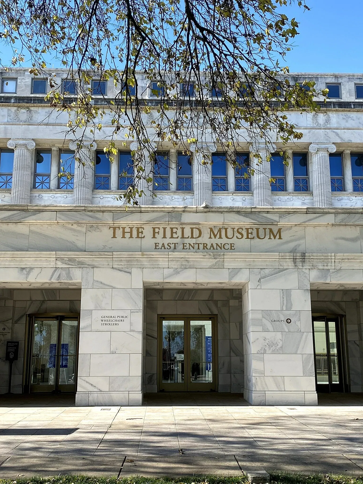 Museo Field de Historia Natural