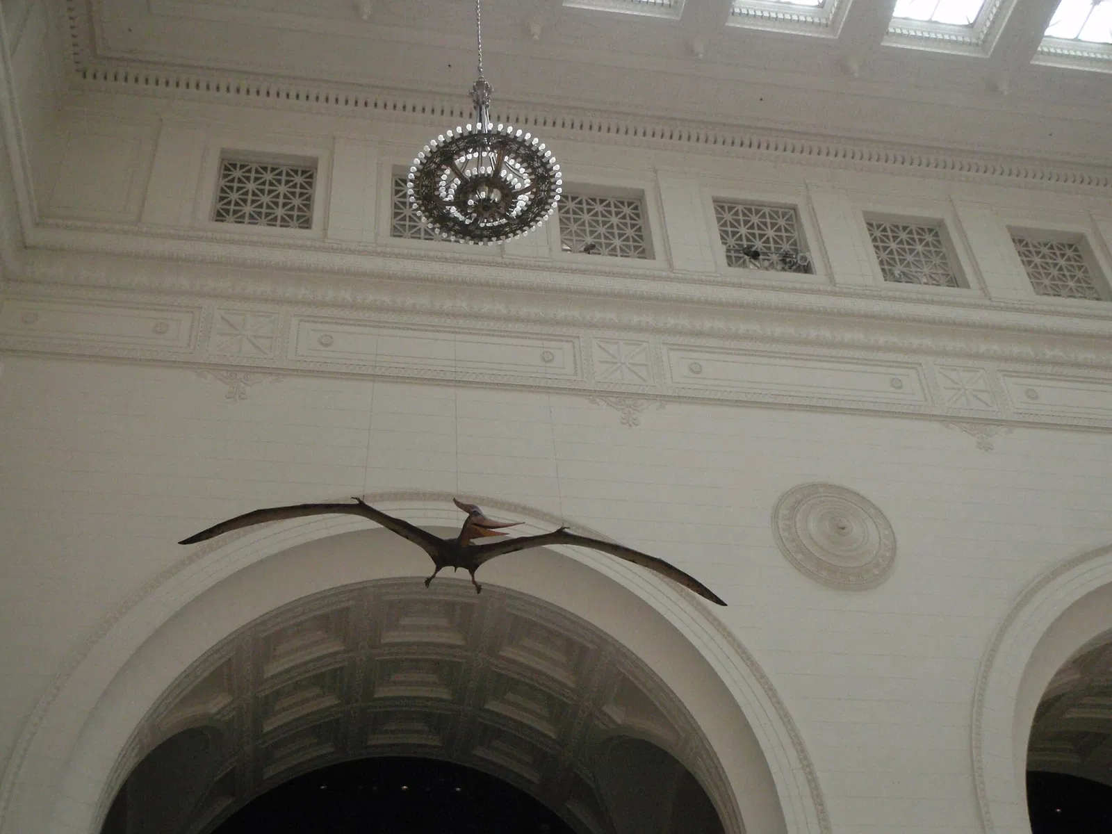 Field Museum of Natural History