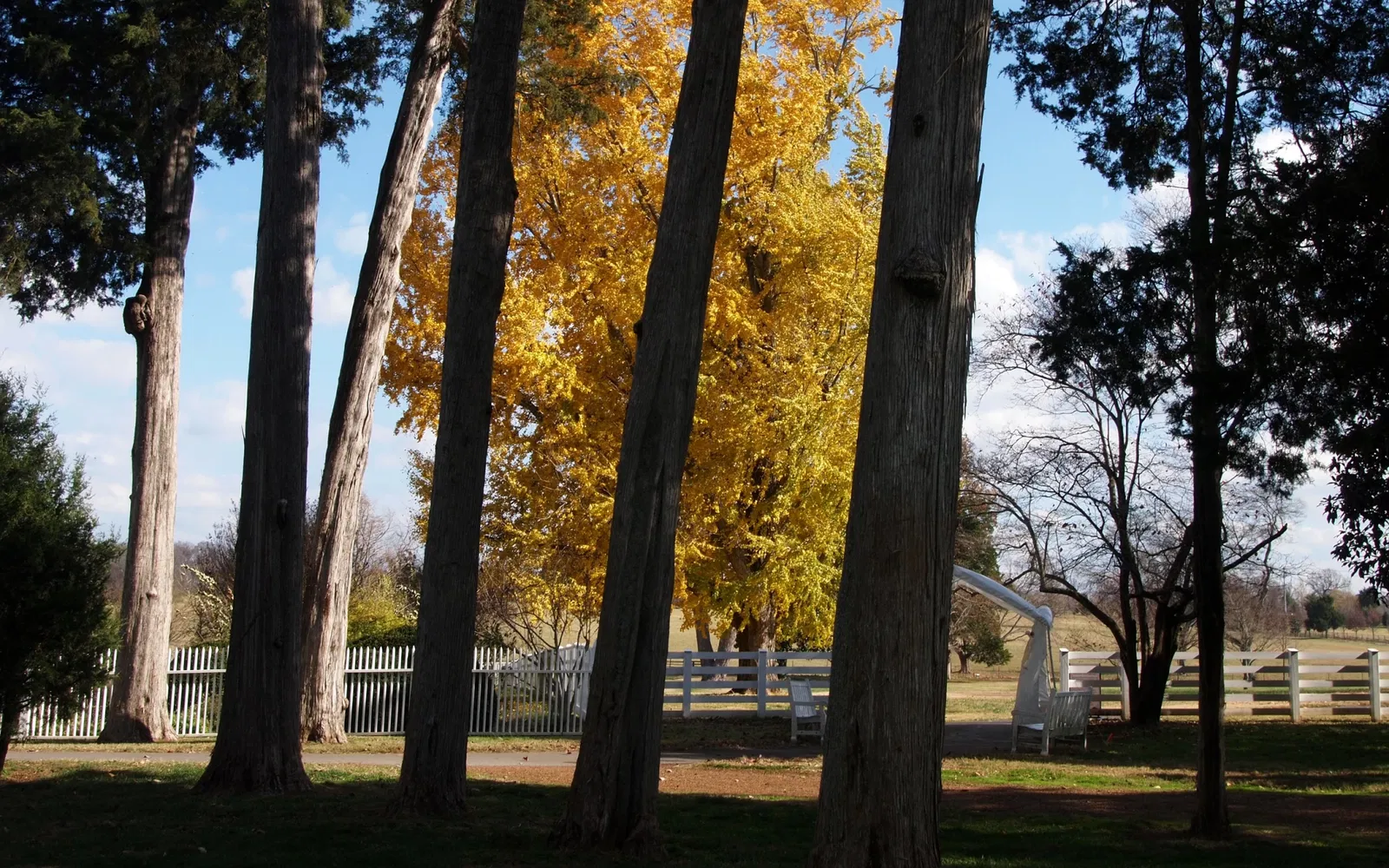 Andrew Jackson’s Hermitage