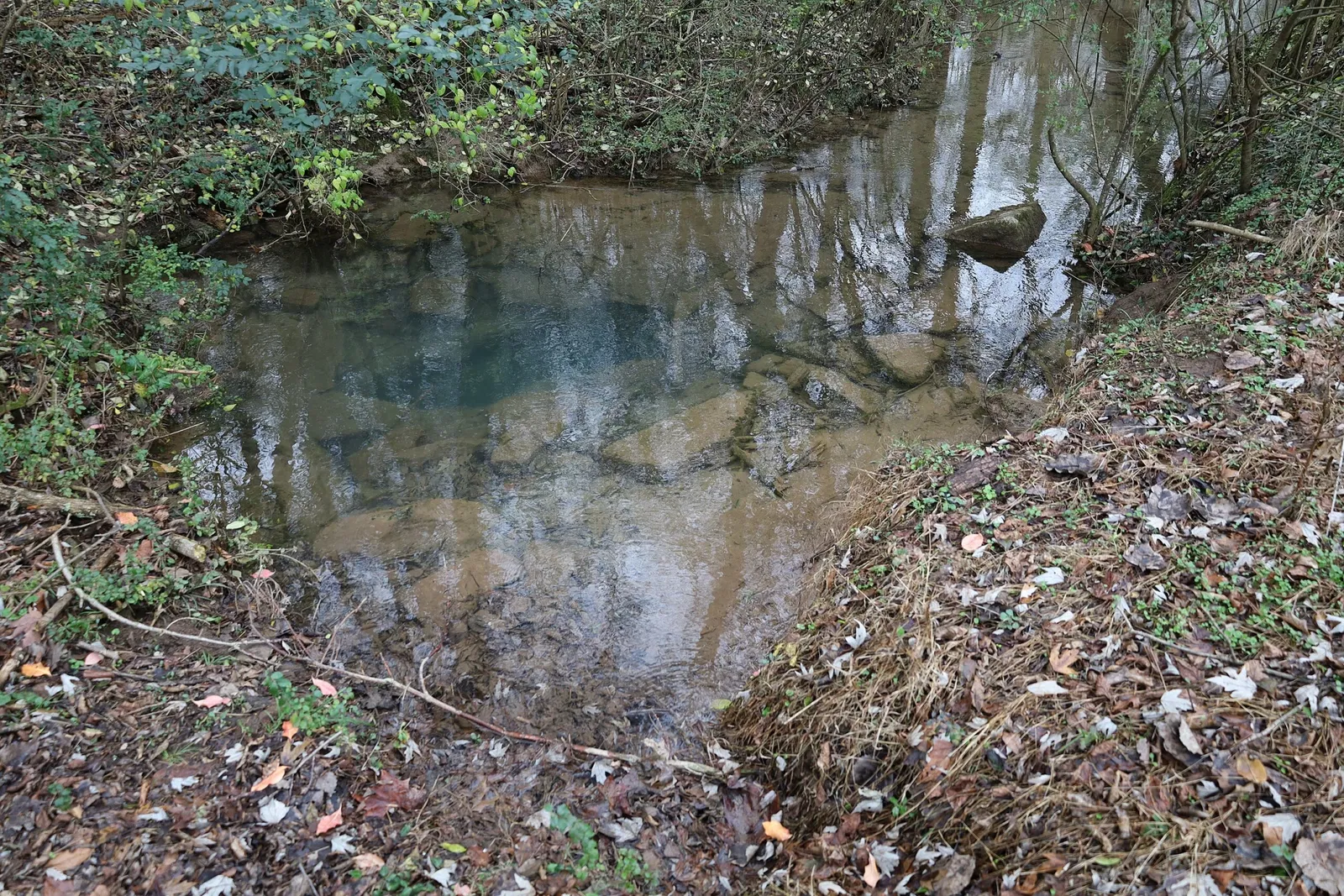 Andrew Jackson’s Hermitage