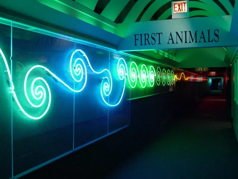 Museo Field de Historia Natural