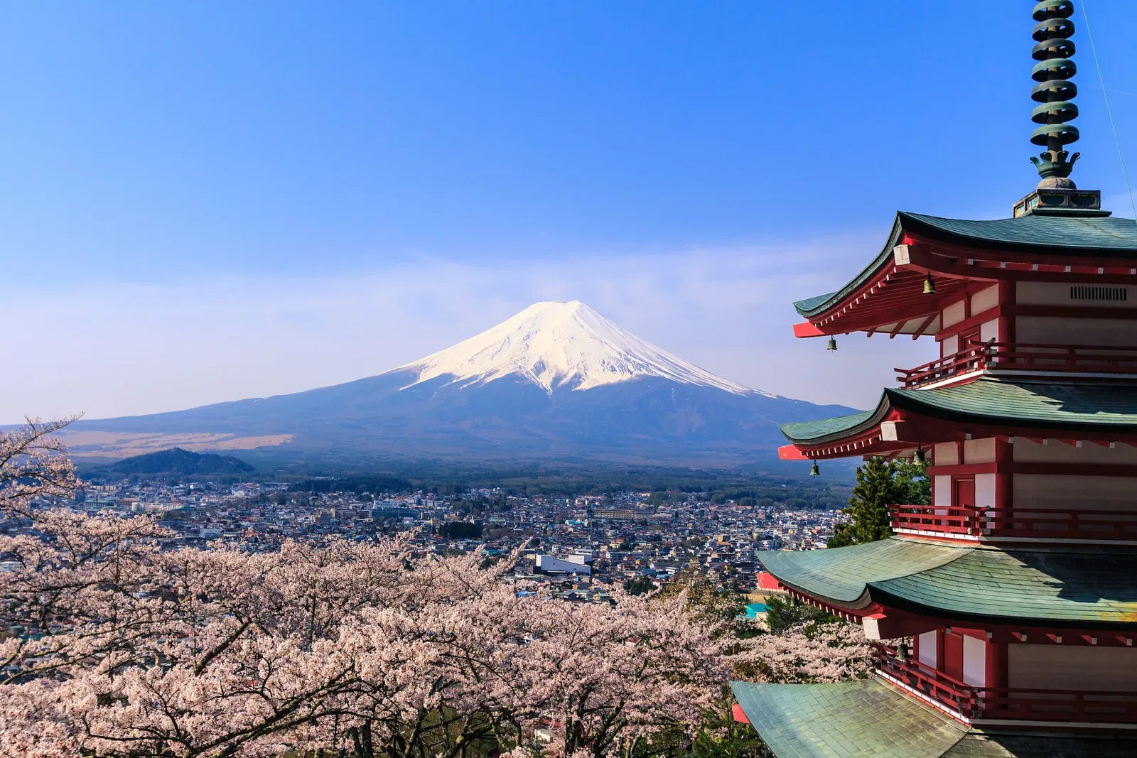 Japan: Discover all 1119+ Museums, Exhibitions & Discounts