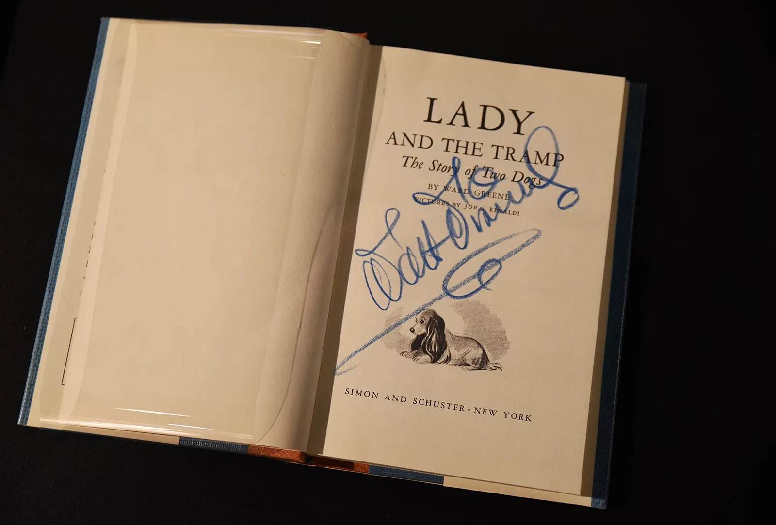 Museo de Ciencia e Industria (Chicago)