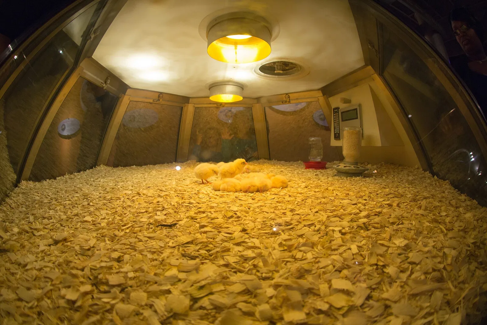 Museo de Ciencia e Industria (Chicago)