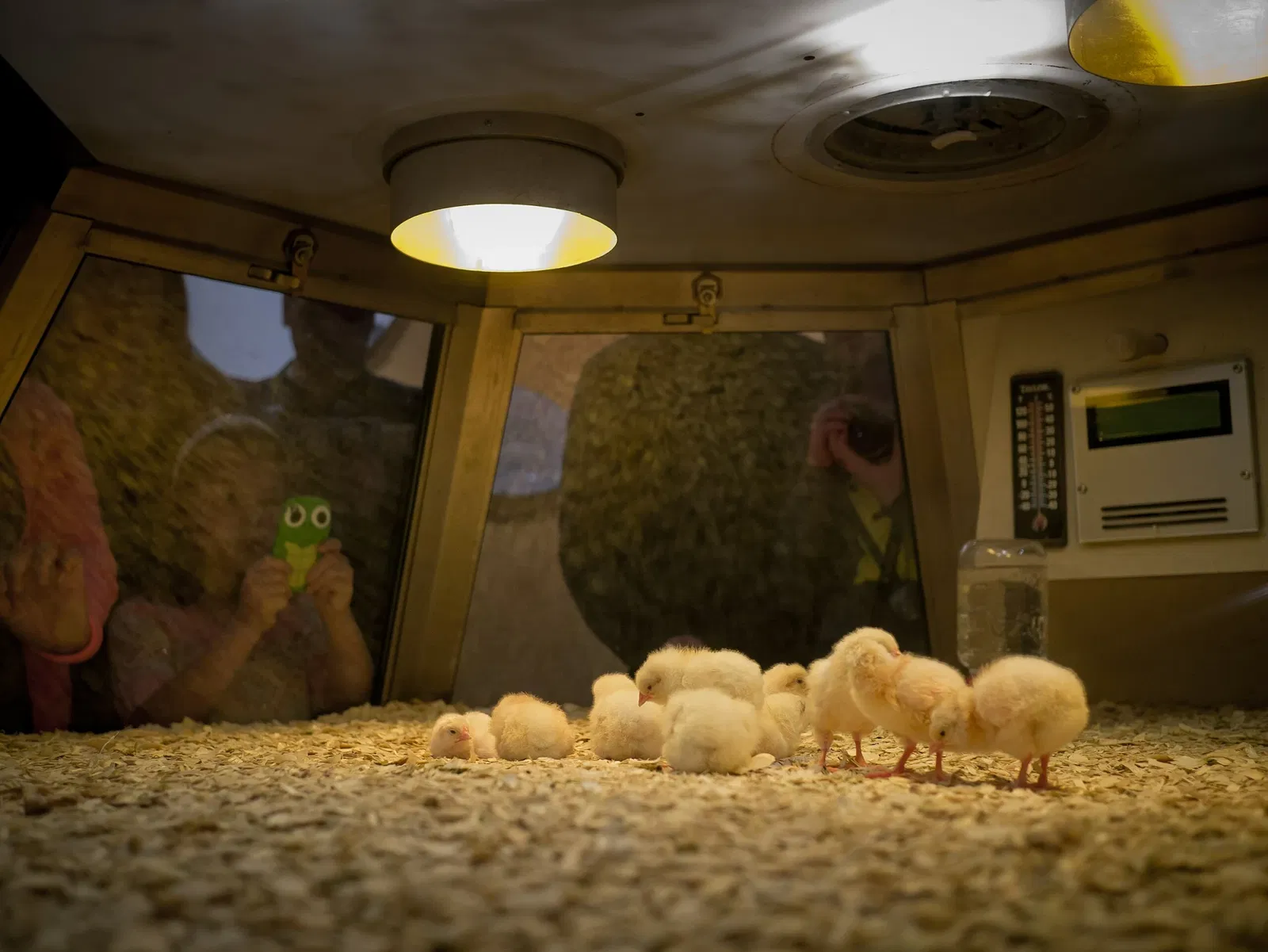 Museo de Ciencia e Industria (Chicago)