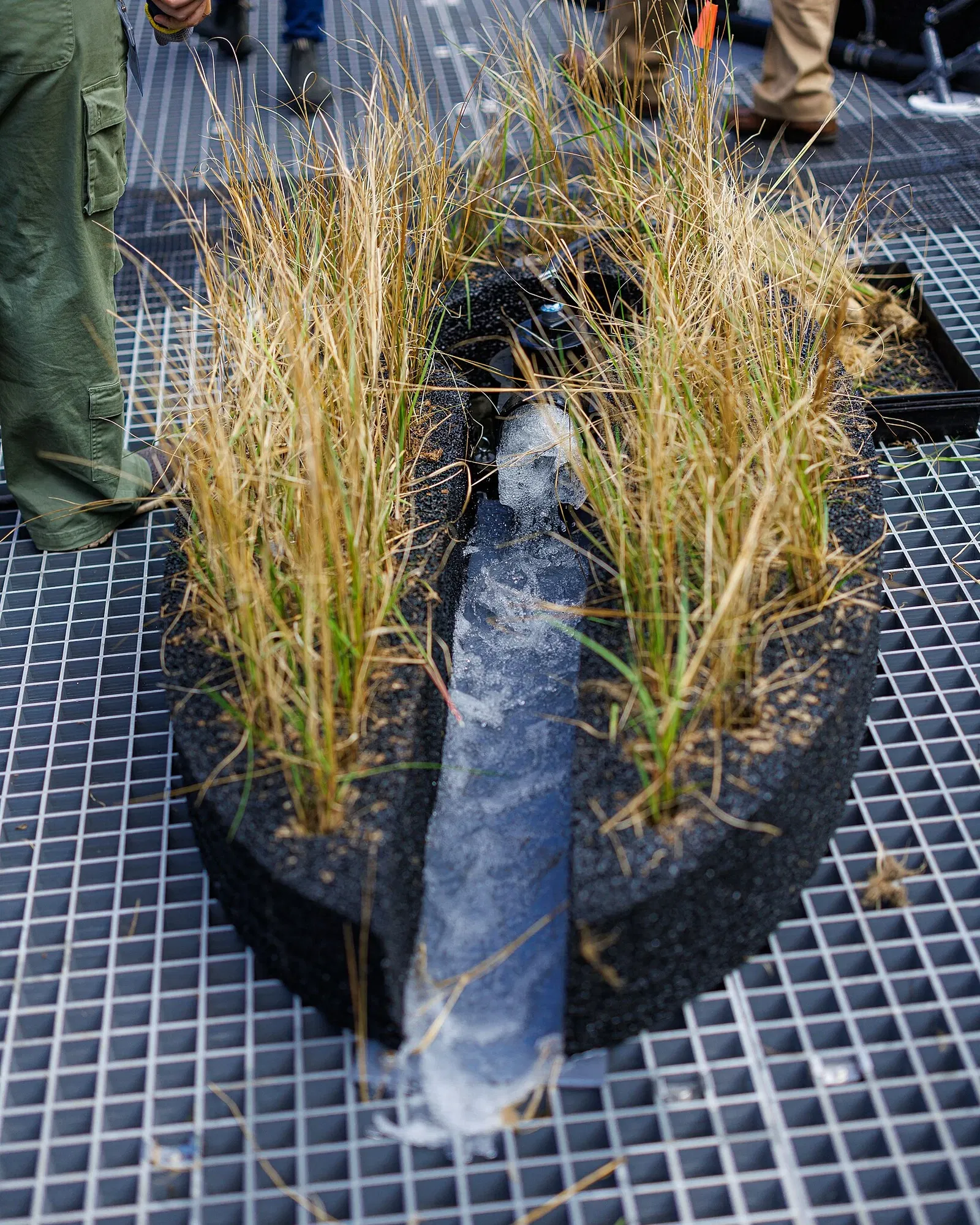 Nationaal aquarium van Baltimore