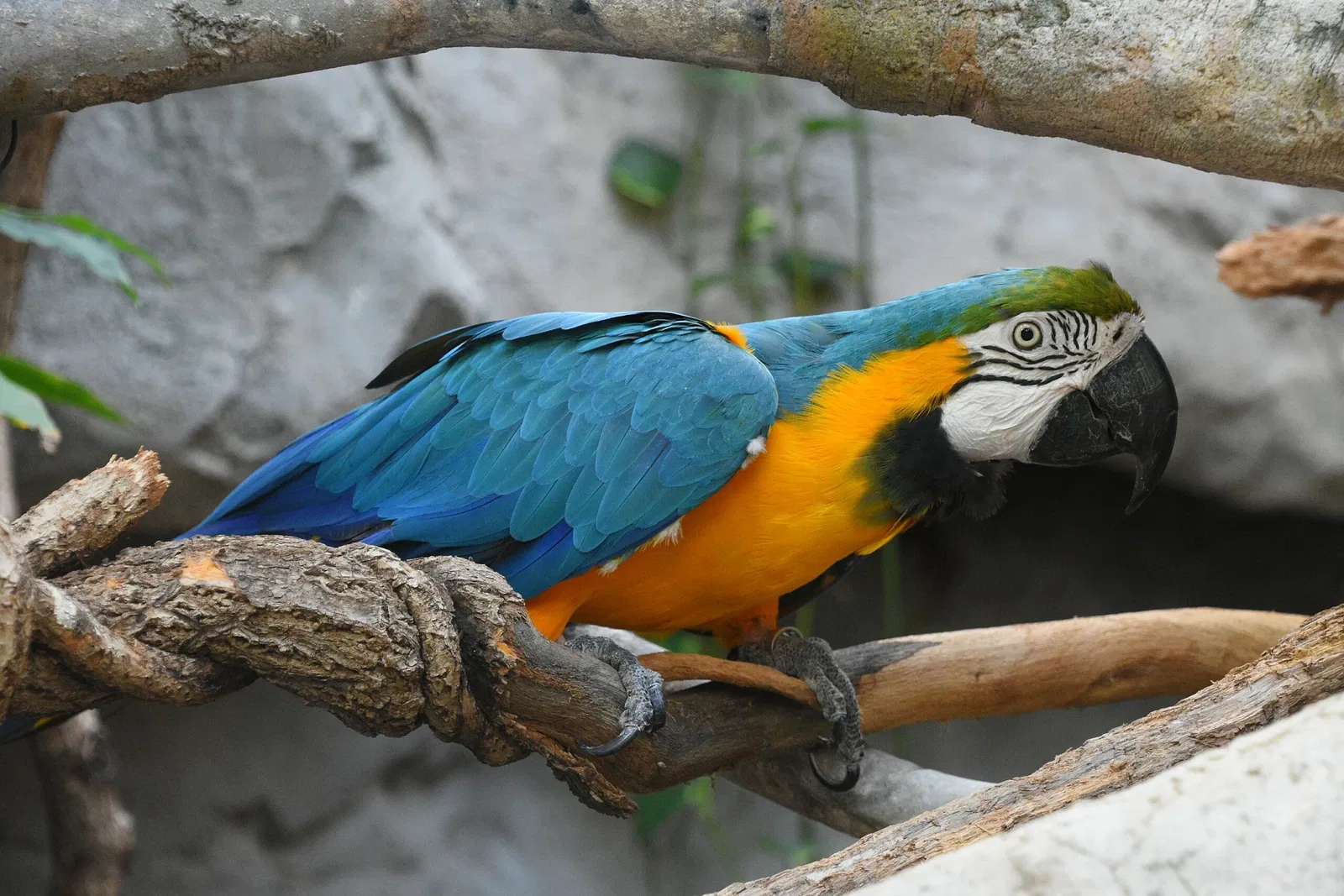 Nationaal aquarium van Baltimore