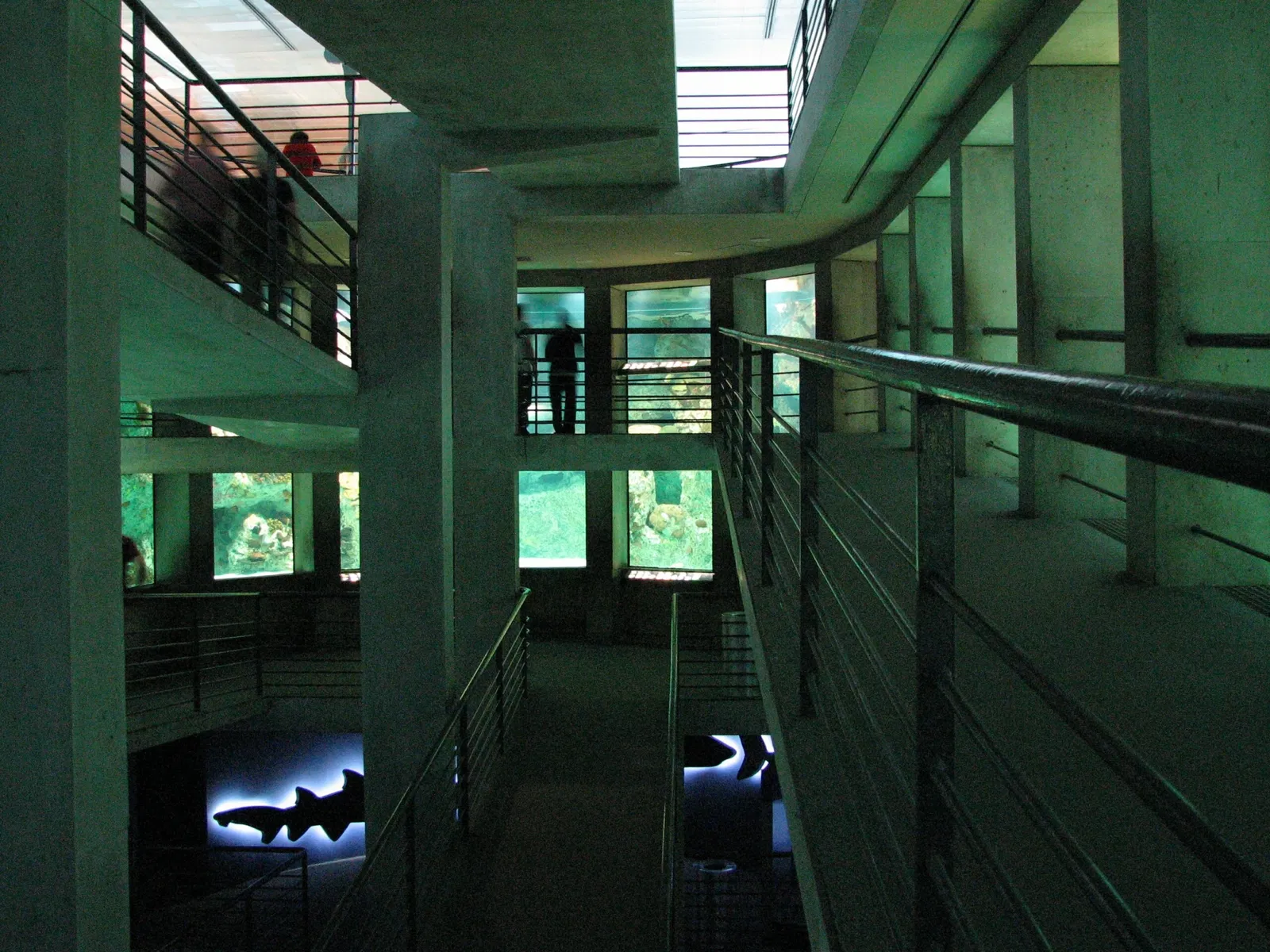 Nationaal aquarium van Baltimore