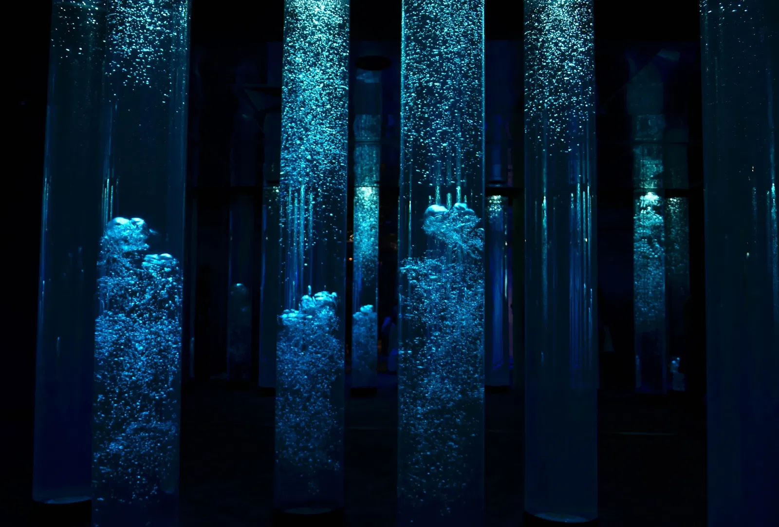 Nationaal aquarium van Baltimore