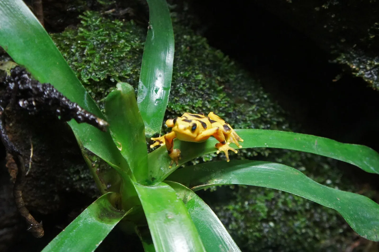 Nationaal aquarium van Baltimore