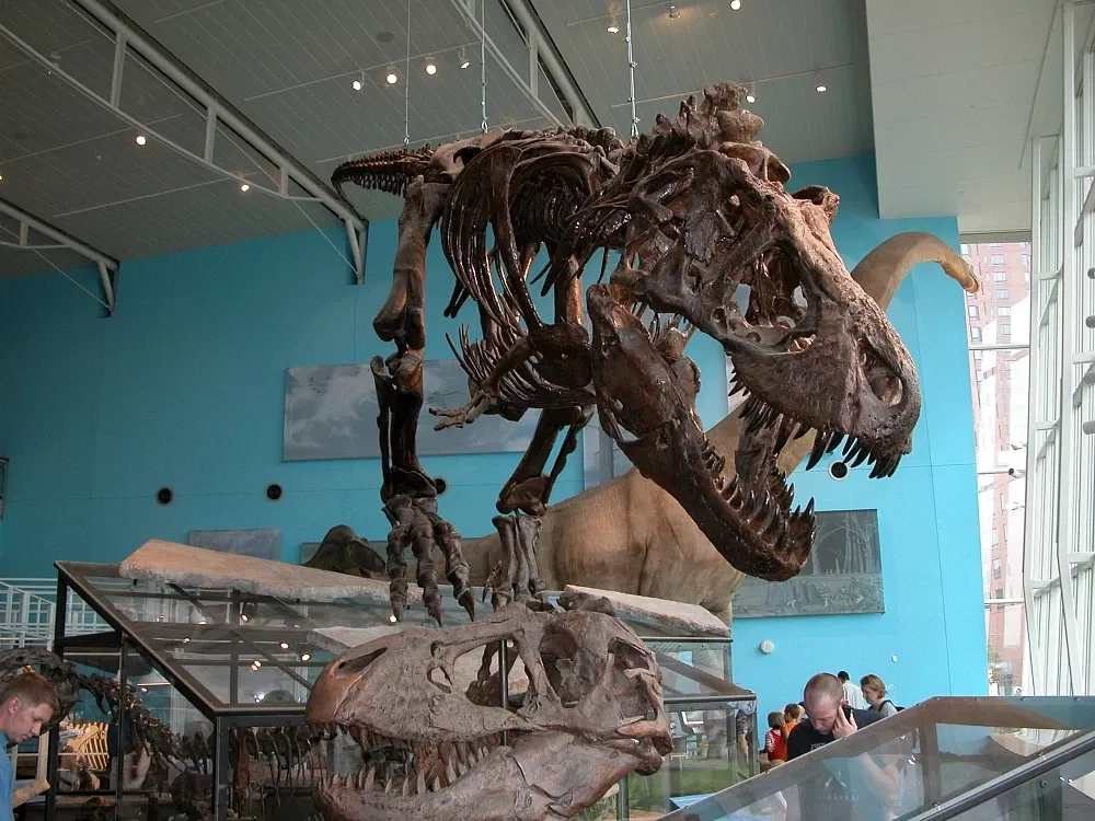 Maryland Science Center