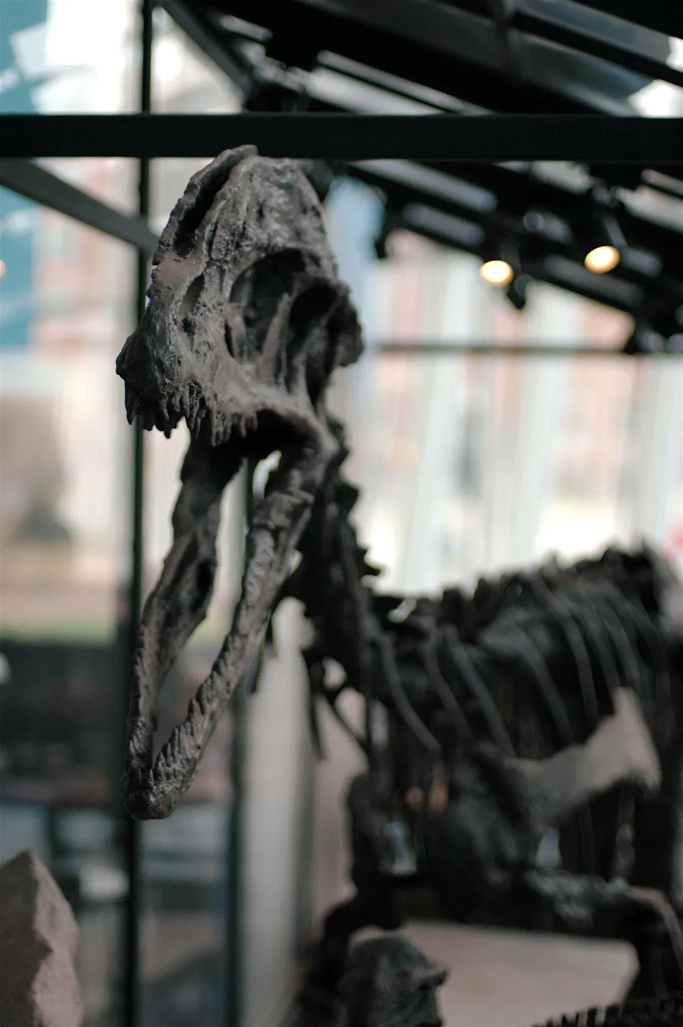 Maryland Science Center