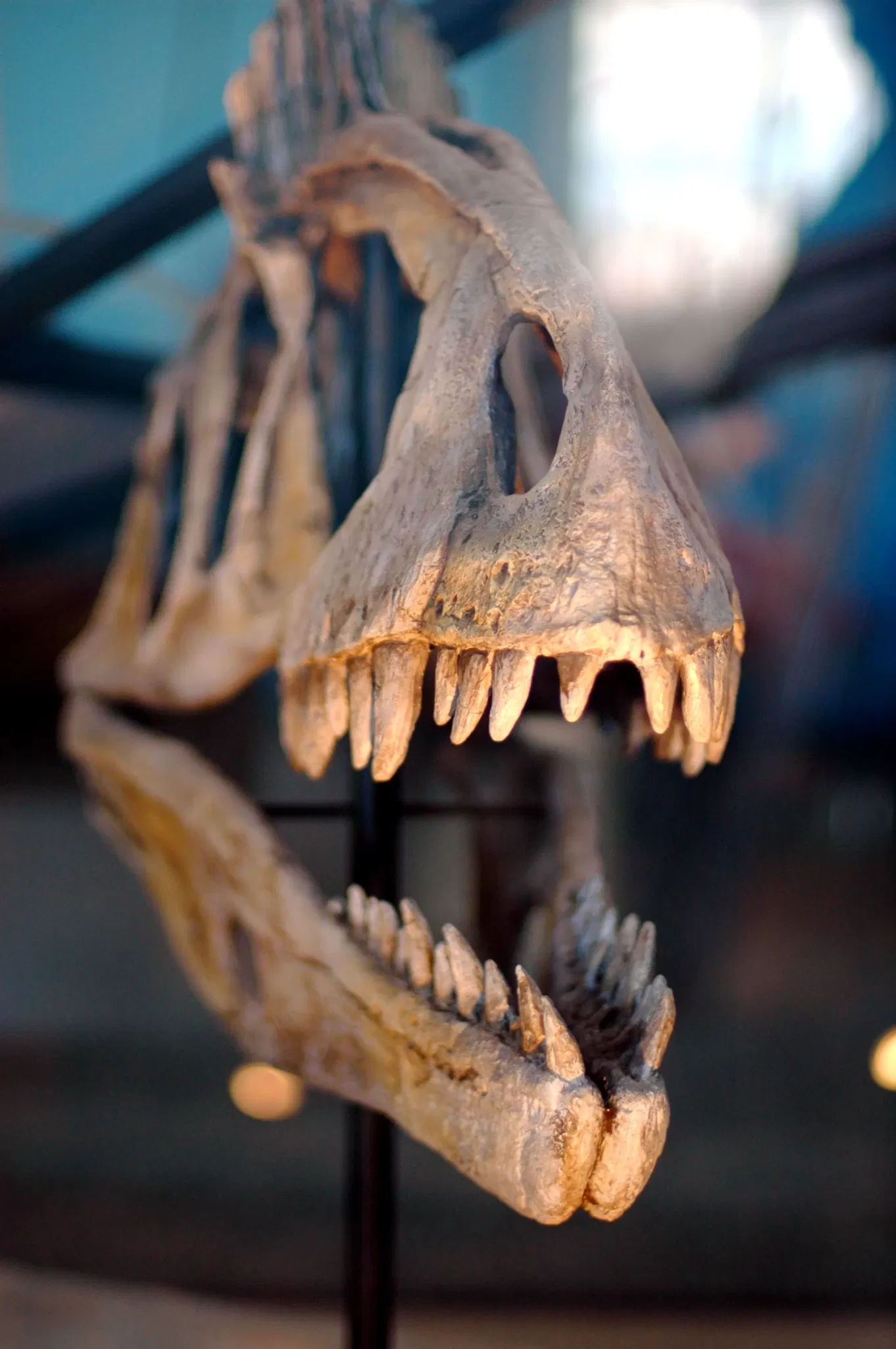 Maryland Science Center