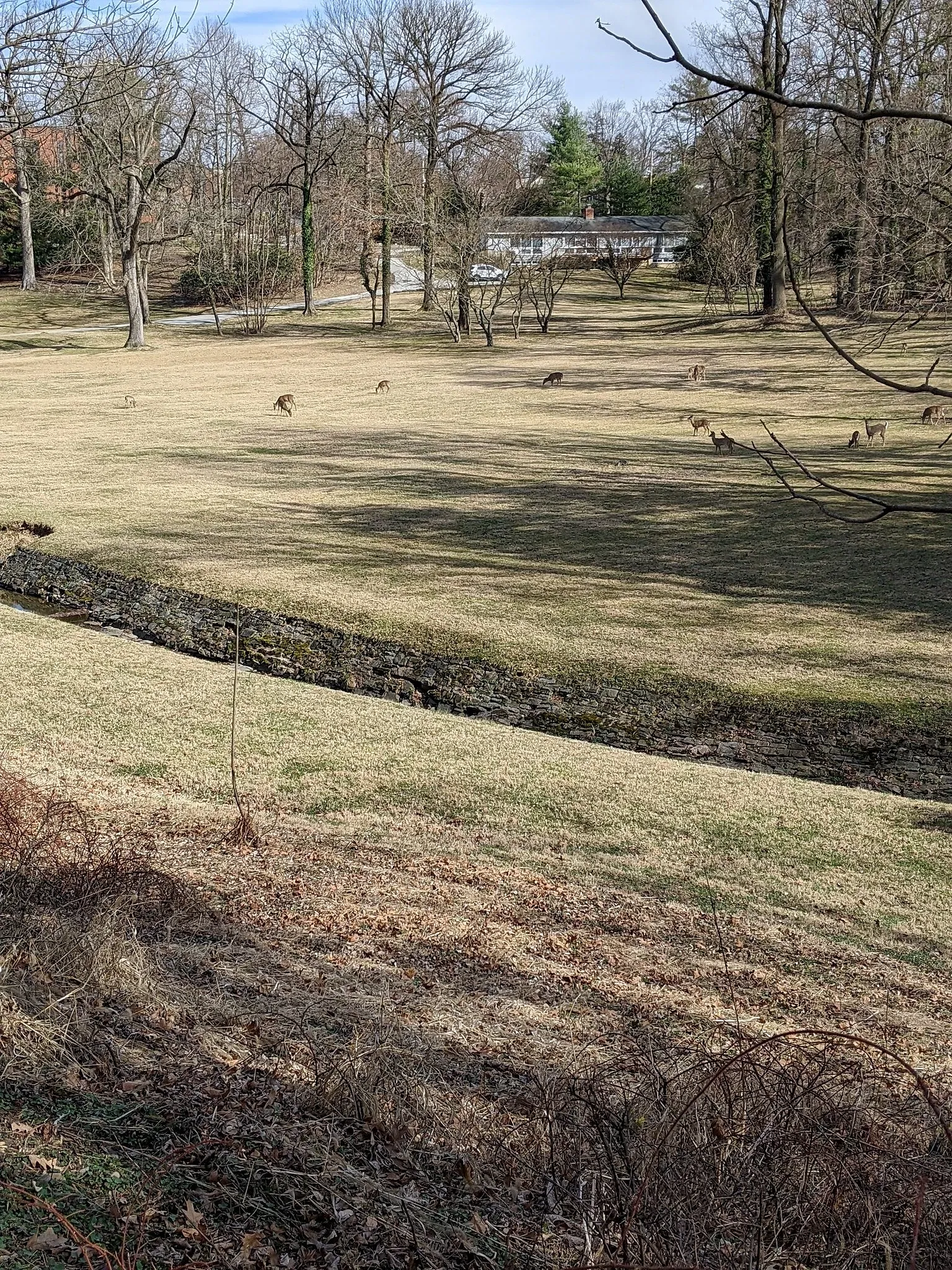 Evergreen Museum & Library