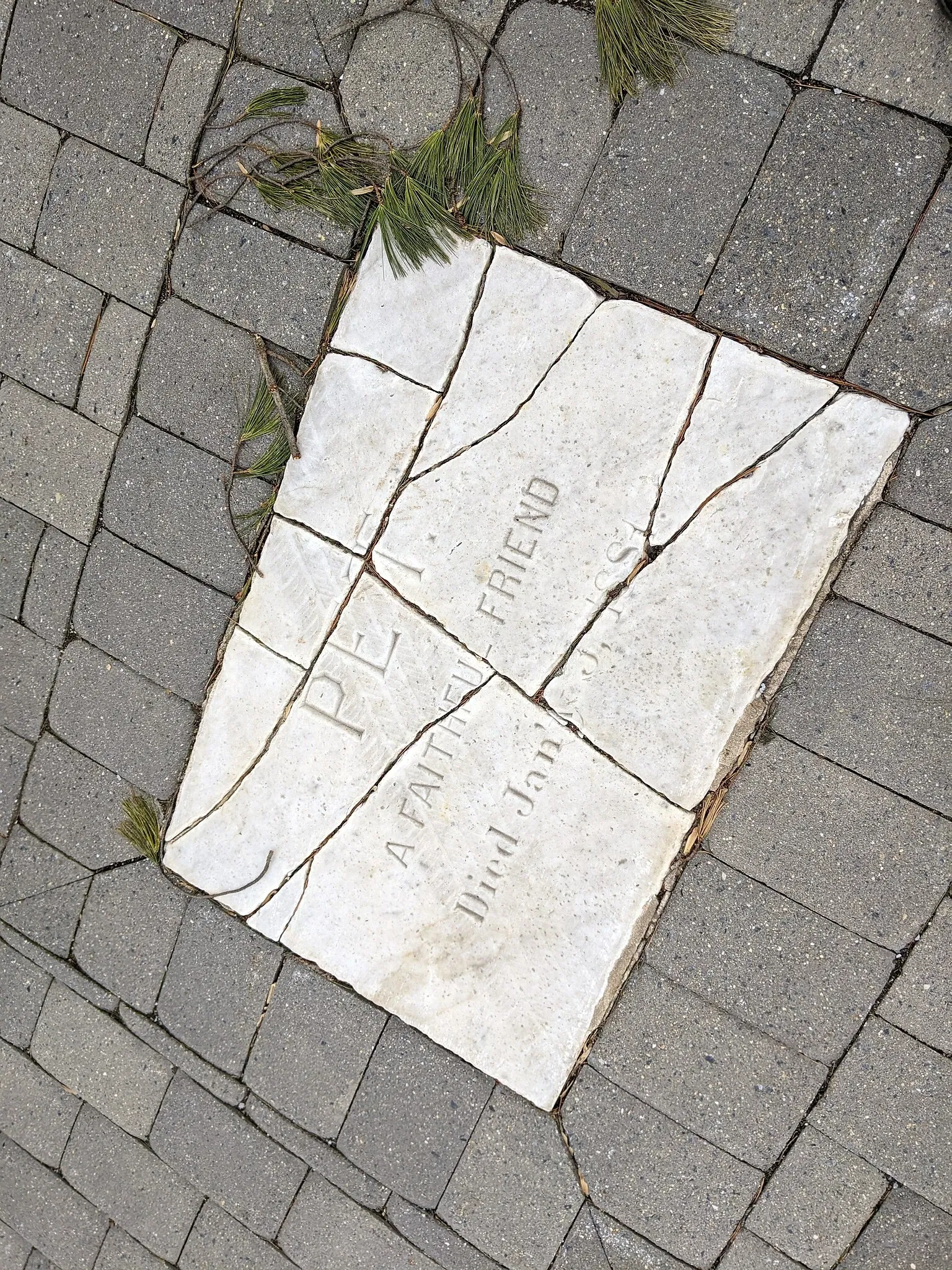 Evergreen Museum & Library