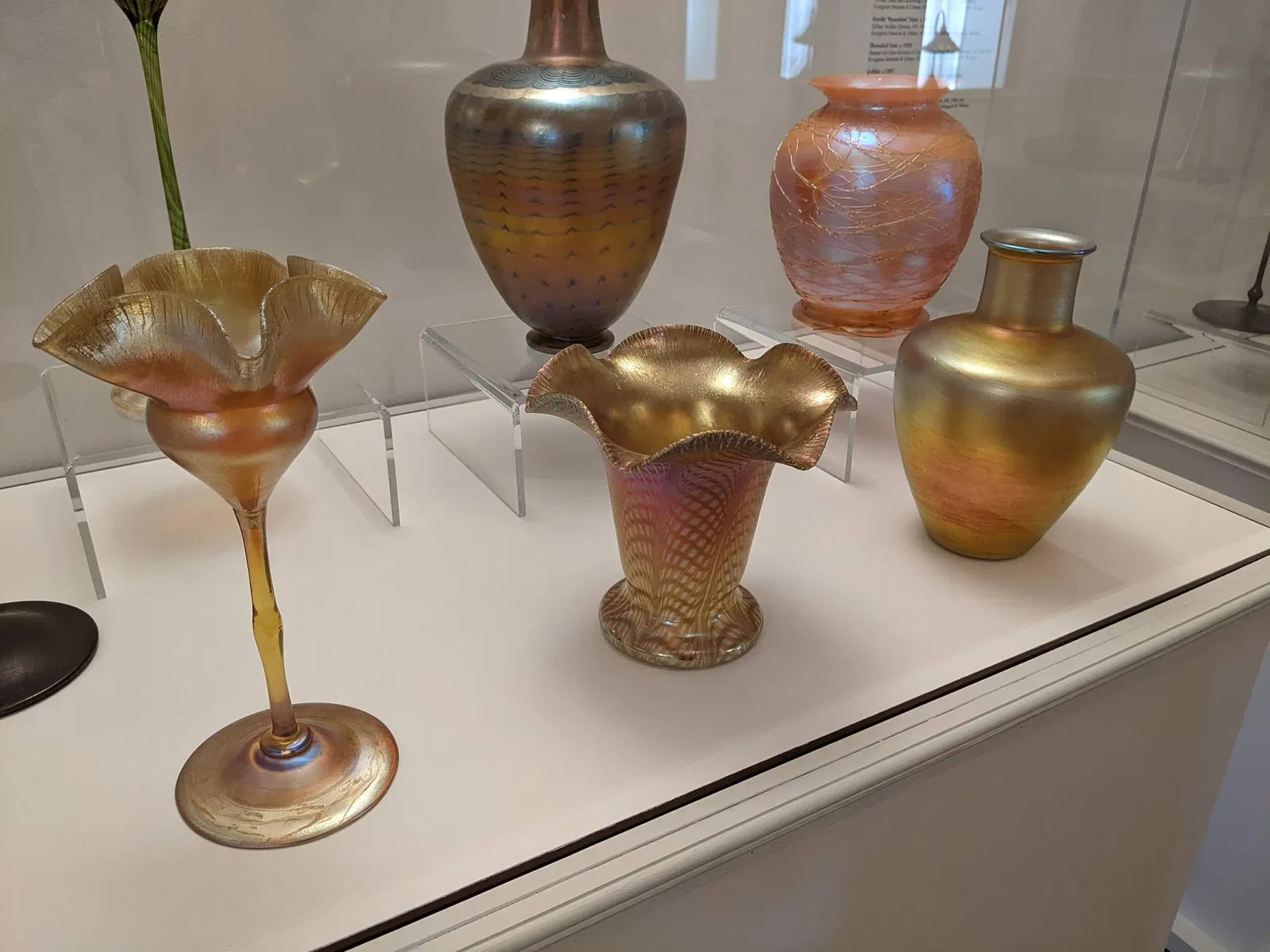 Evergreen Museum & Library