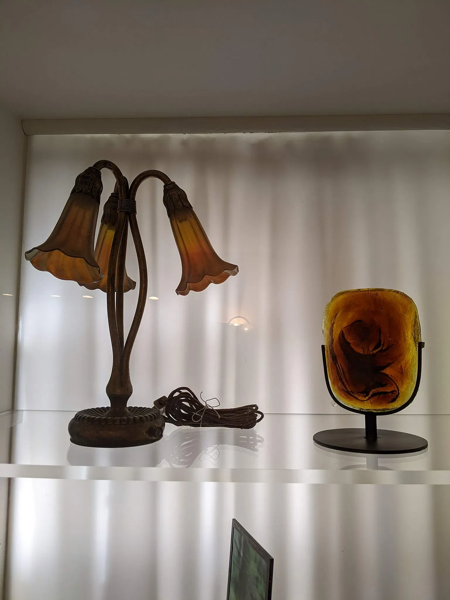 Evergreen Museum & Library