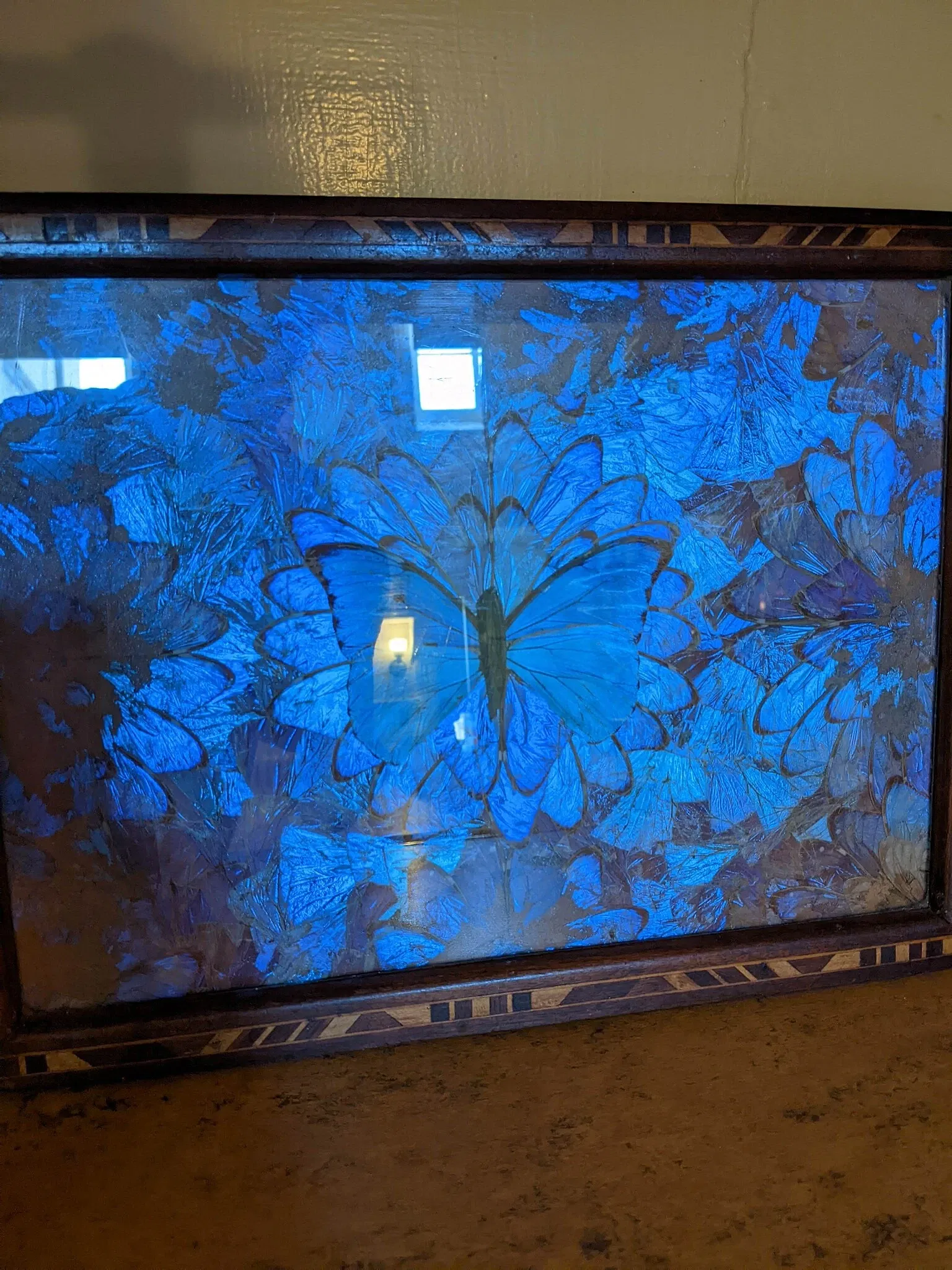 Evergreen Museum & Library