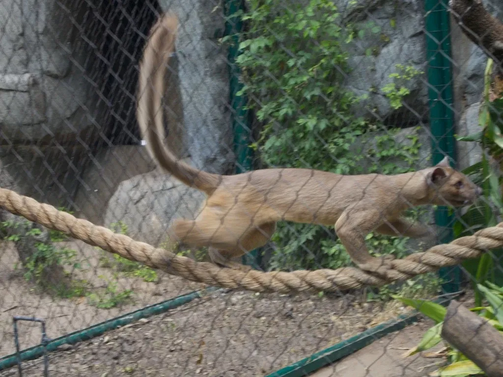 Zoológico de Houston