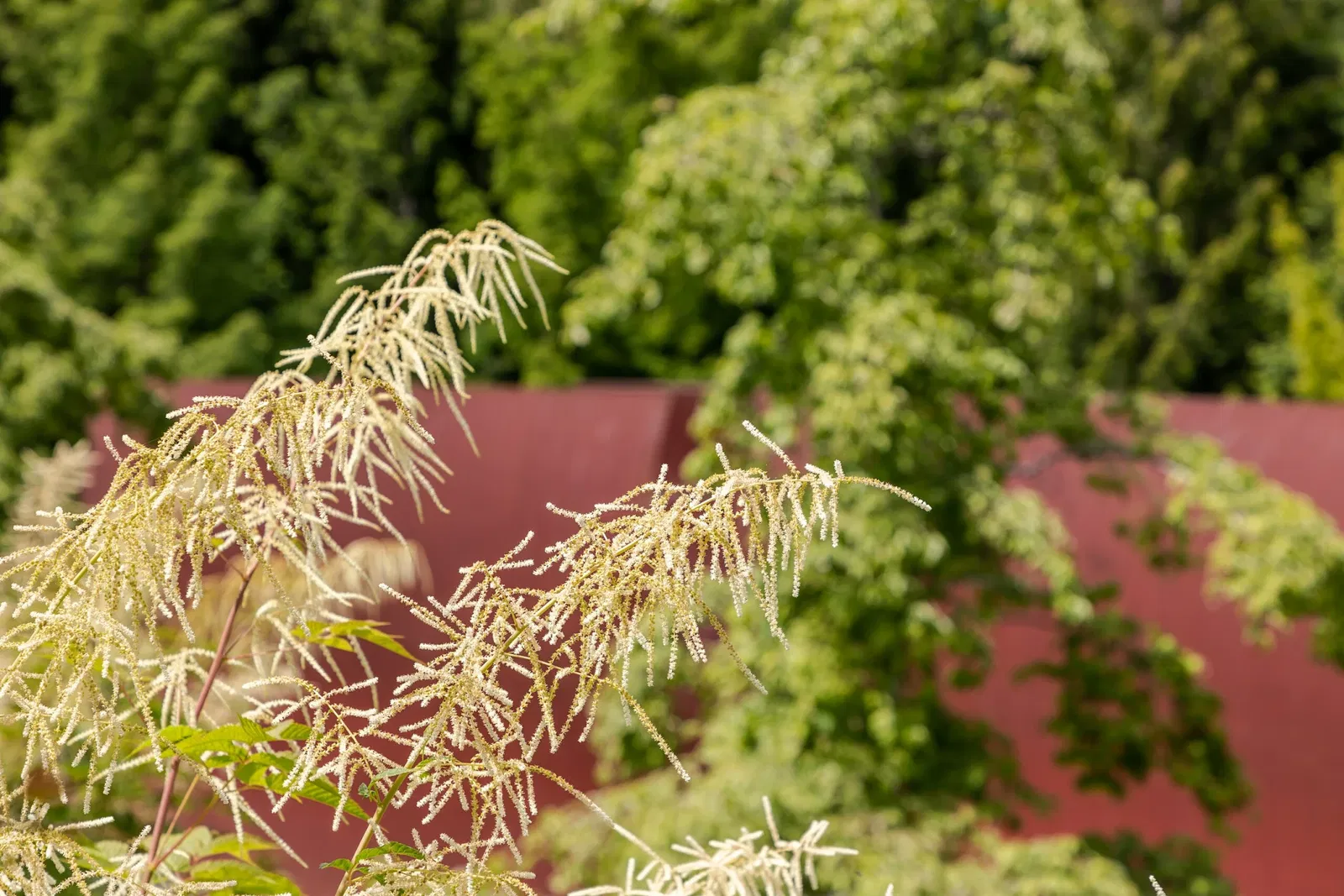Olympic Sculpture Park