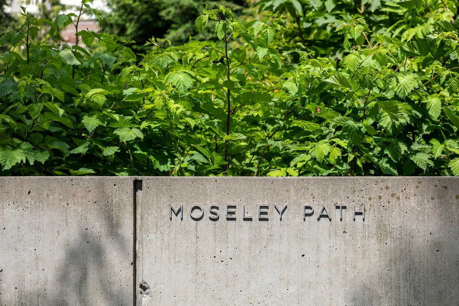 Olympic Sculpture Park