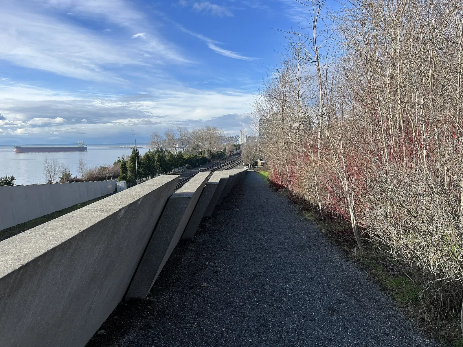 Olympic Sculpture Park