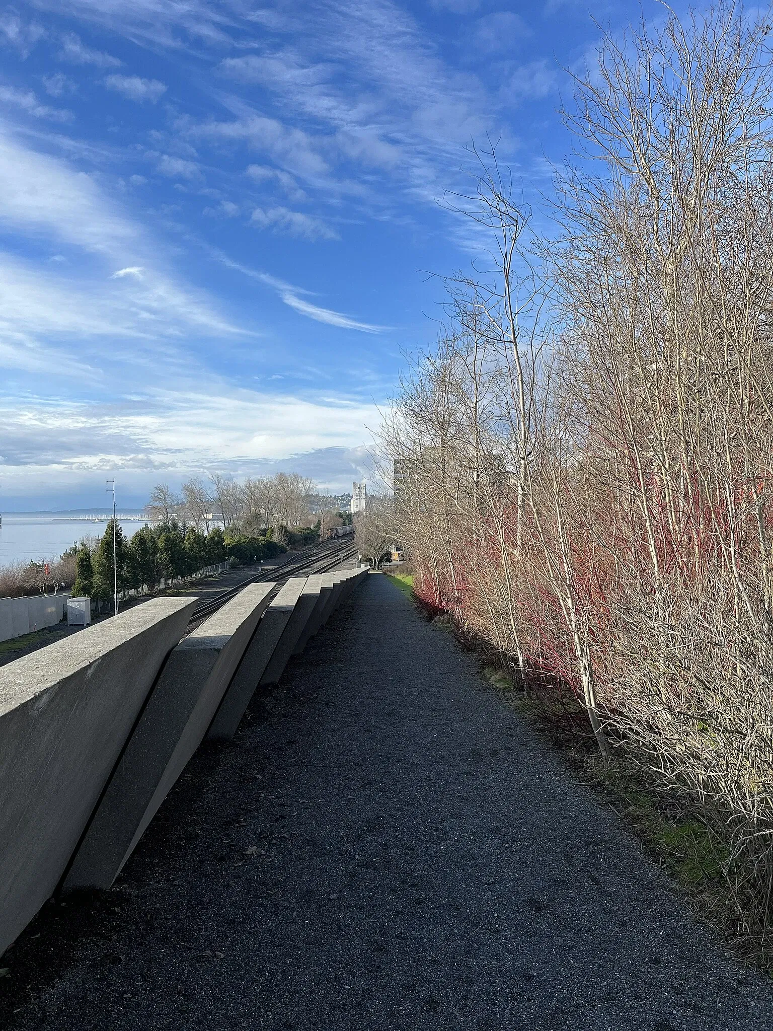 Olympic Sculpture Park