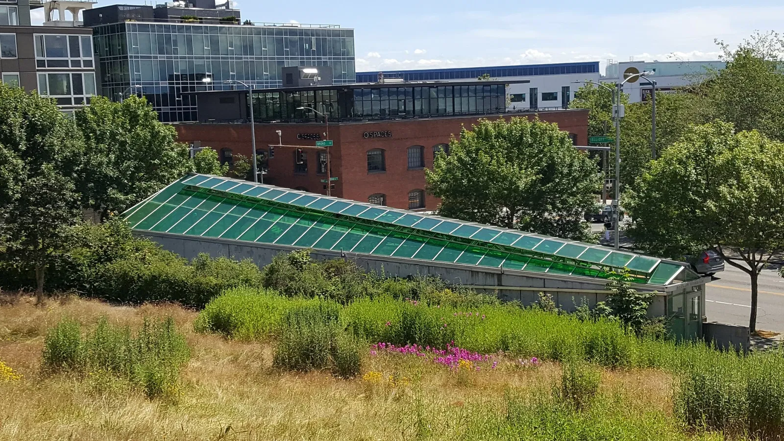 Olympic Sculpture Park