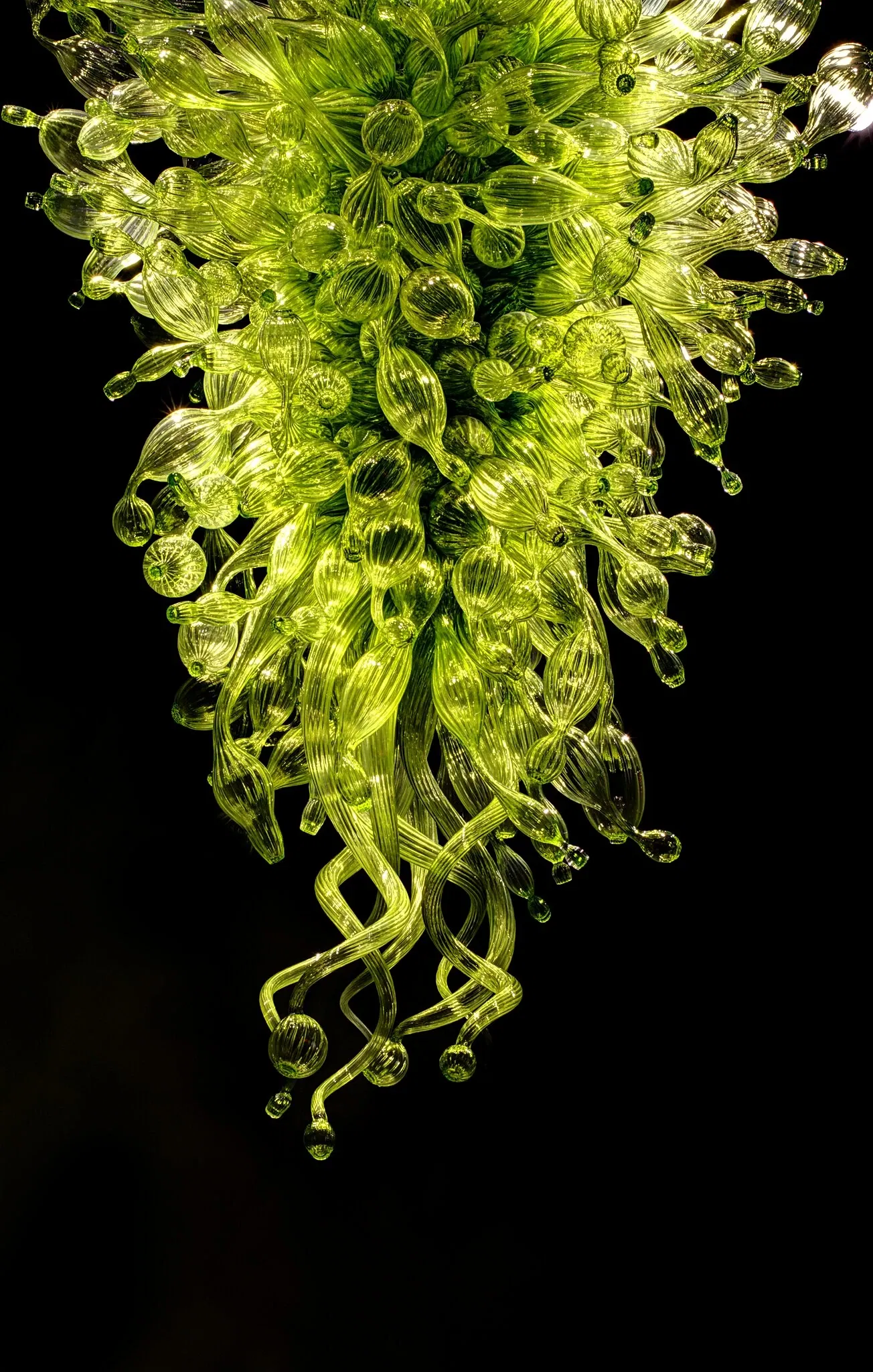 Chihuly Garden and Glass