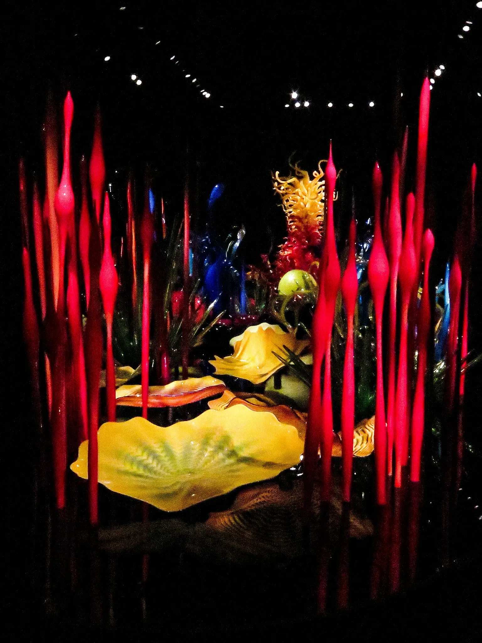 Chihuly Garden and Glass