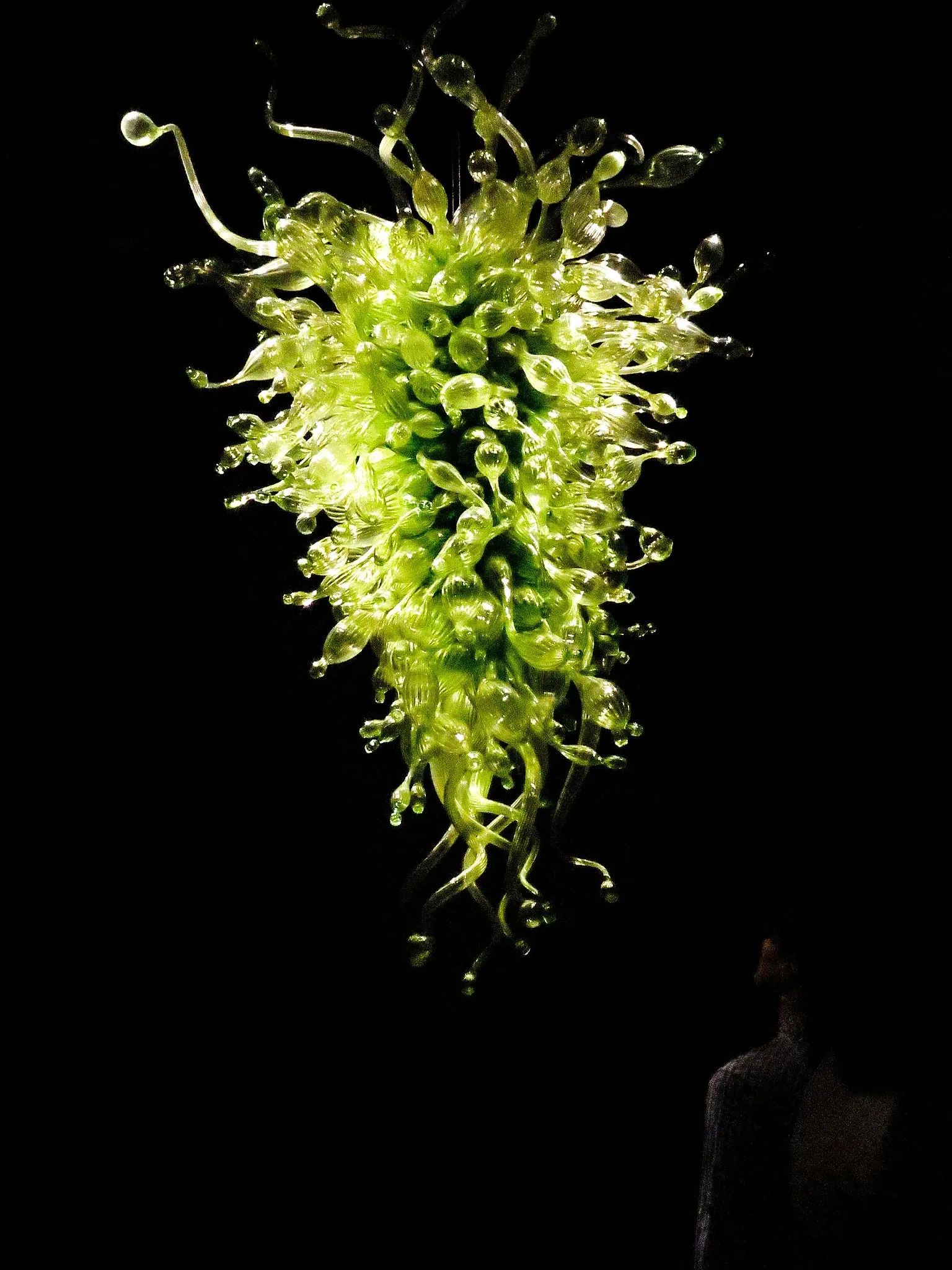 Chihuly Garden and Glass