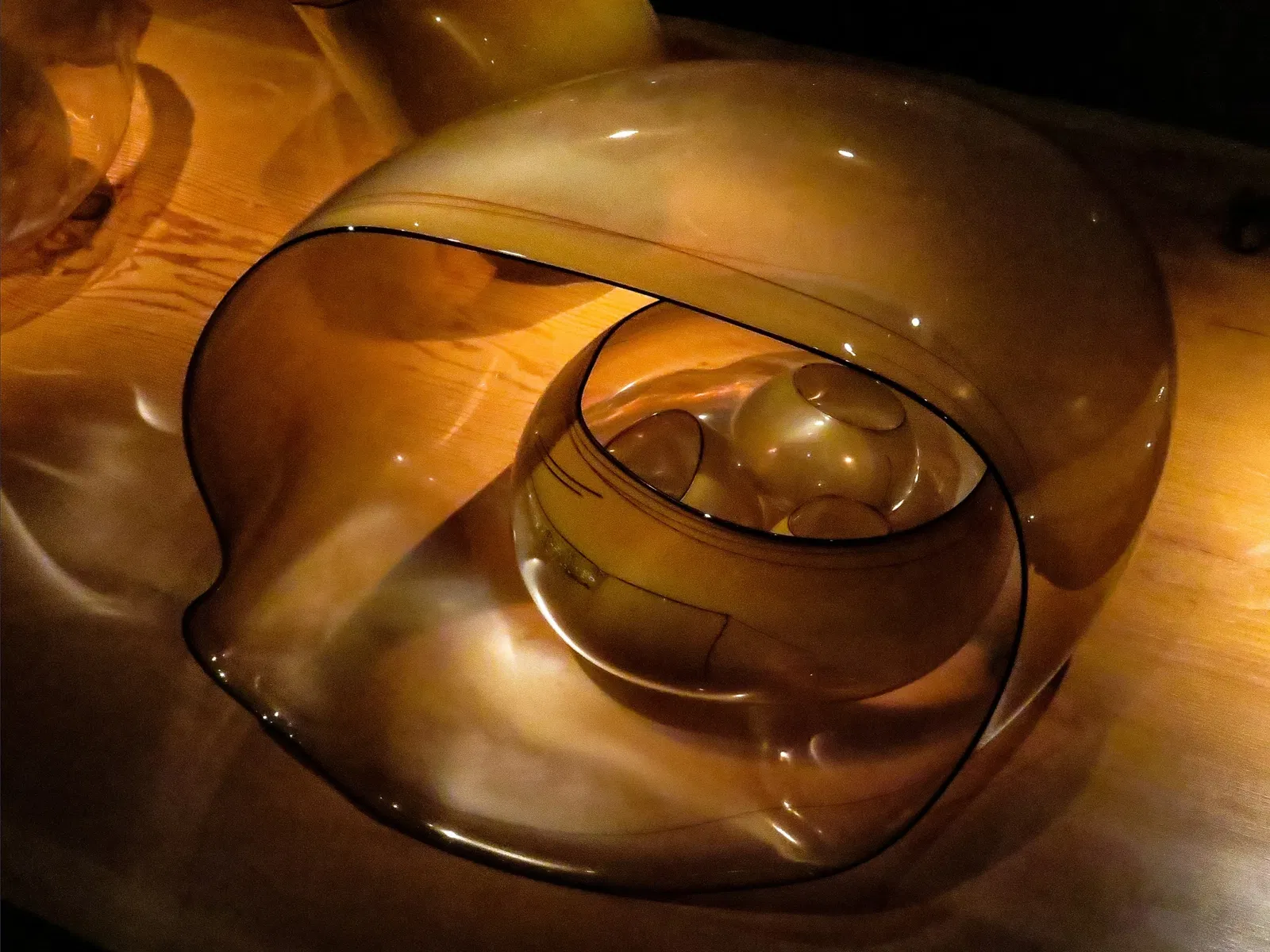 Chihuly Garden and Glass