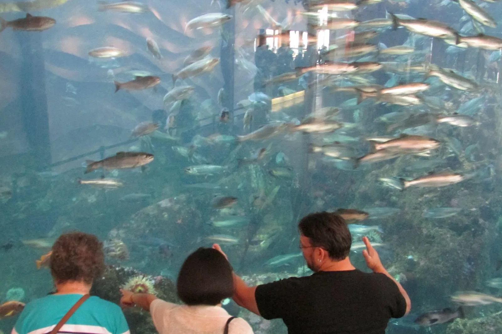 Seattle Aquarium