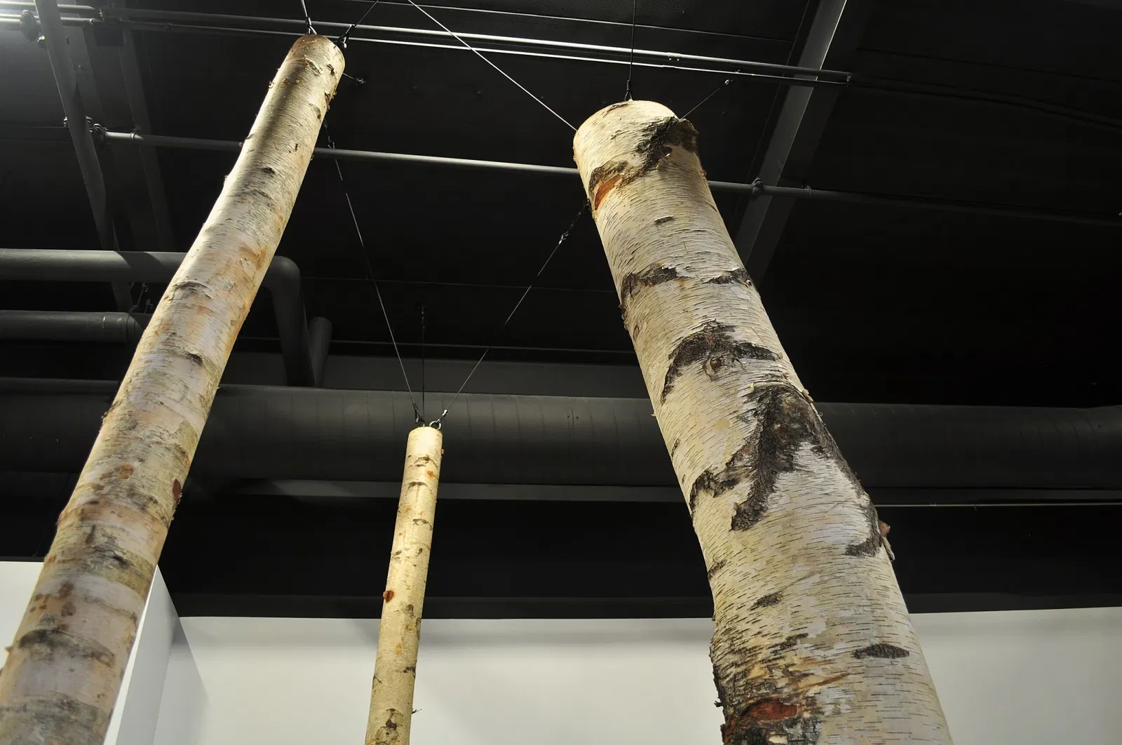 National Nordic Museum